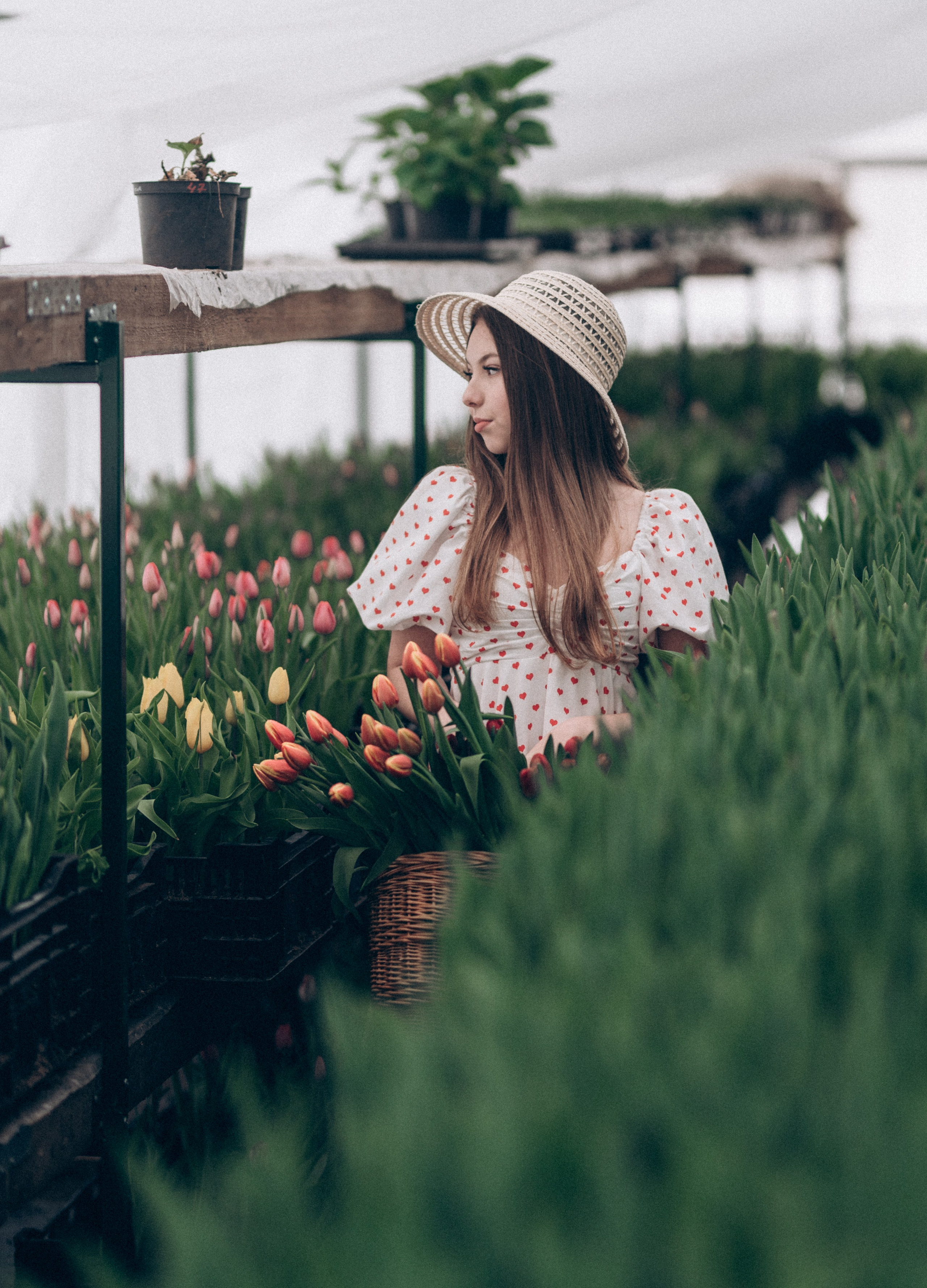 Фотопроект с тюльпанами. Фотограф Белебей Абзалетдинов Артур