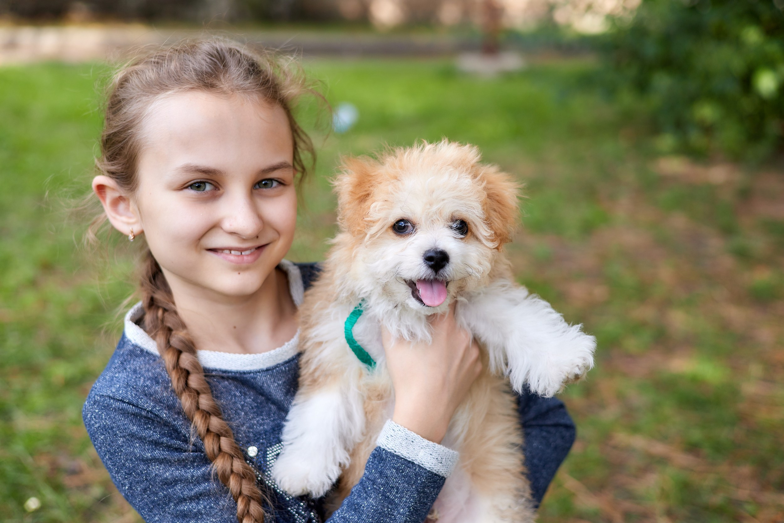 Профессиональная фотосъёмка домашних животных в Донецке, Макеевке. Фотограф Татаринов Андрей (Донецк / Макеевка)