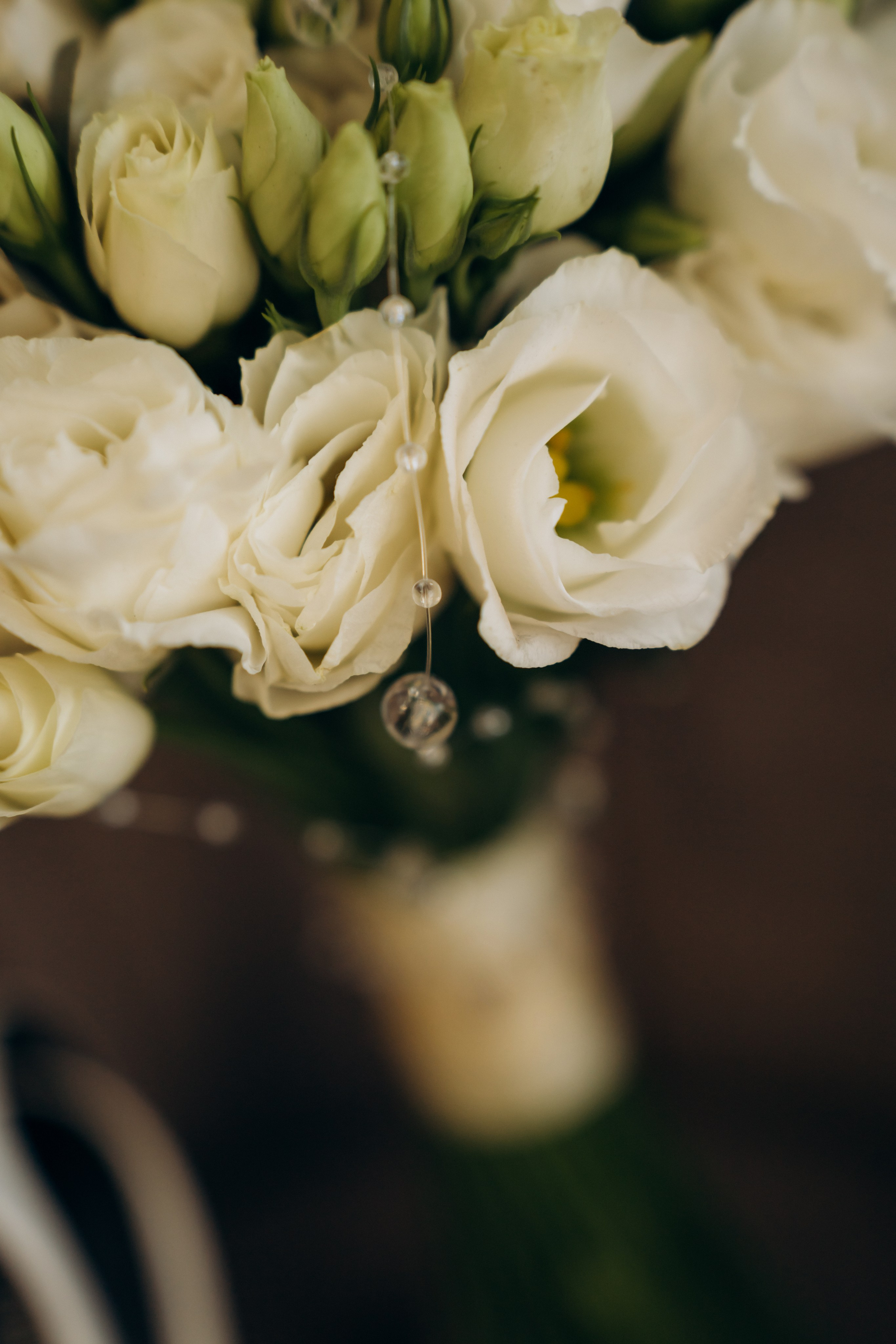 Владимир и Елисавета. Ирина Гонтарева|Фотограф|Белгород