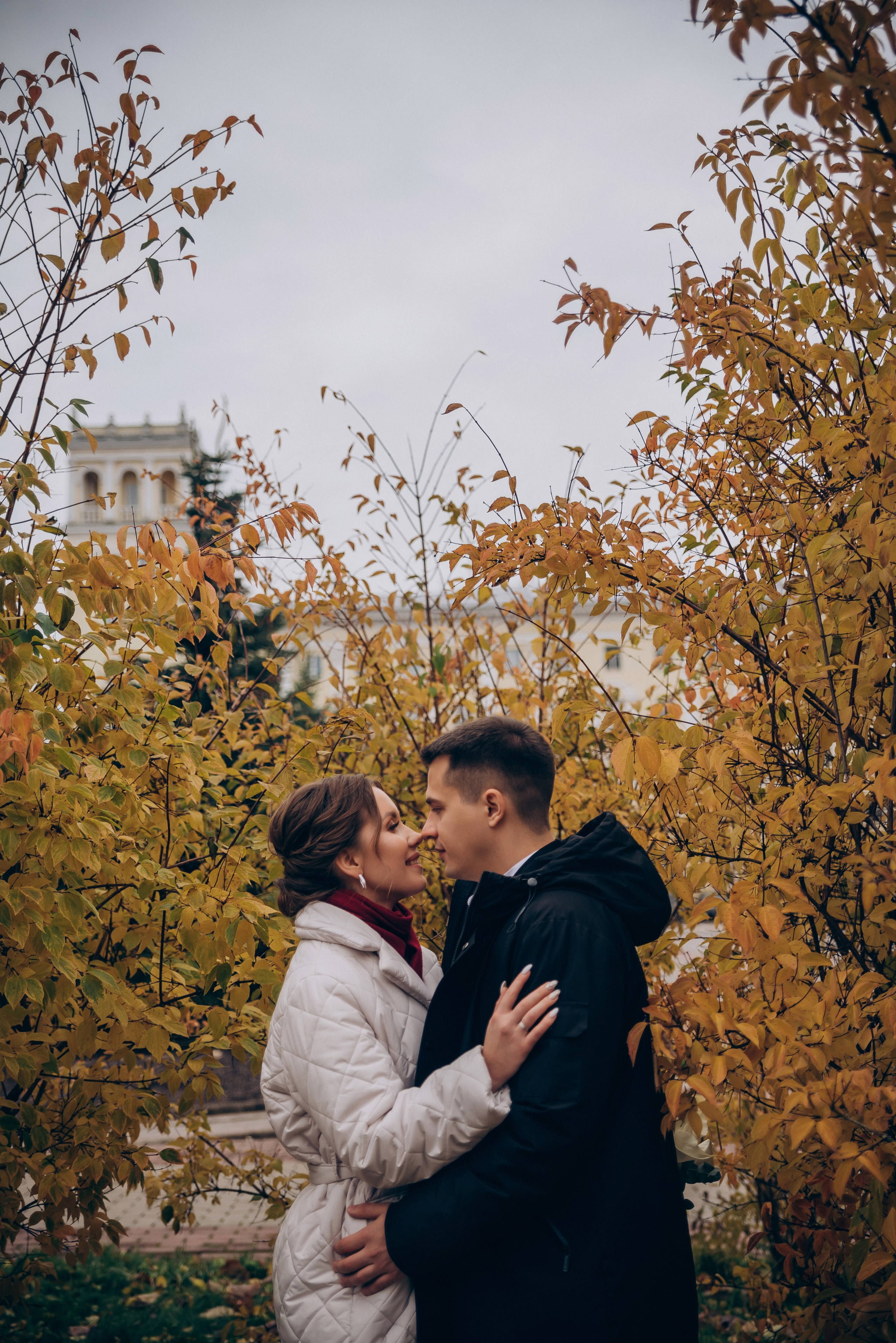 Костя и Настя 08.11.2023. Свадебный и семейный фотограф в городе Смоленске