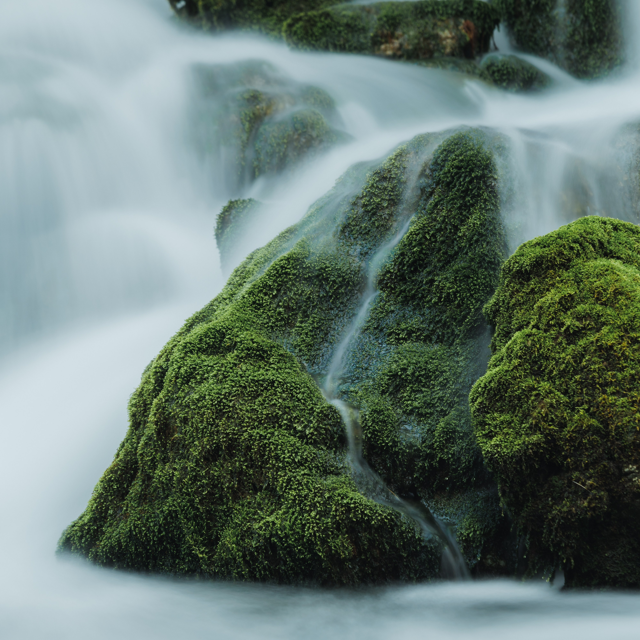 Nature. Артем Корнев Фотограф