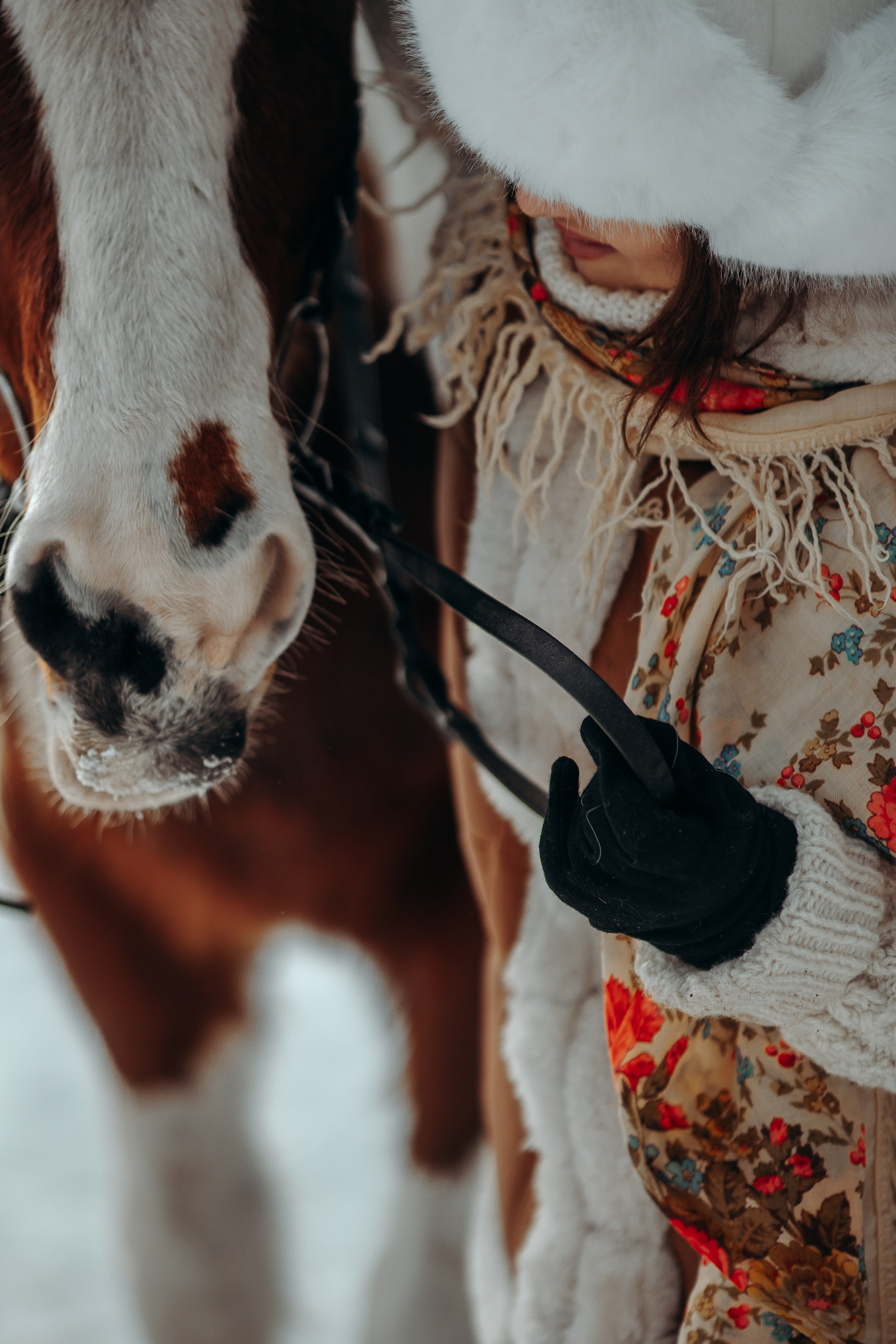 Ирина. Анна Молчанова конный фотограф в Тюмени | фотосессии с лошадьми Тюмень