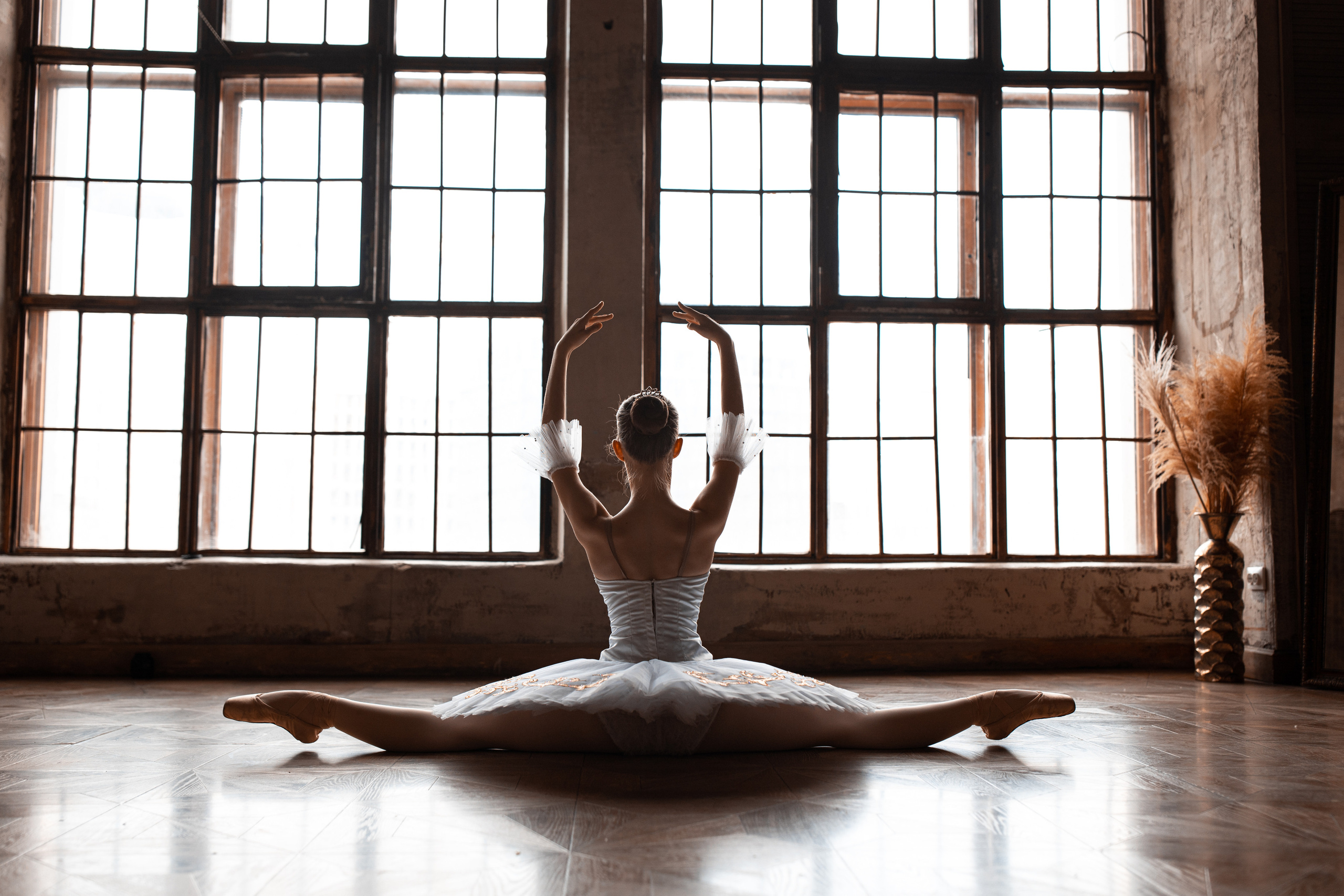 Балетная съёмка в интерьере. Балетный фотограф Алина Ханько — Душа Балета