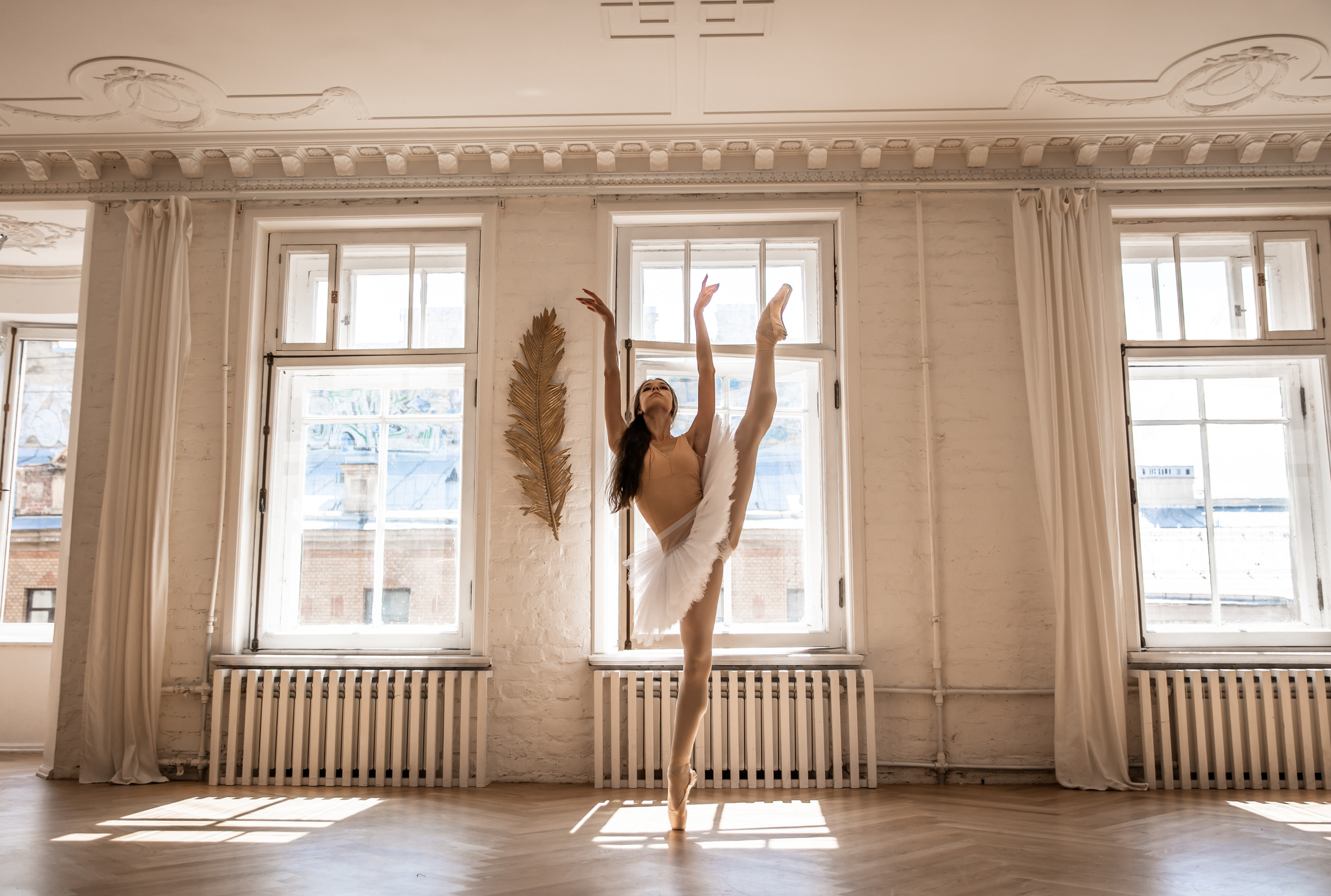 Балетная съёмка в интерьере. Балетный фотограф Алина Ханько — Душа Балета