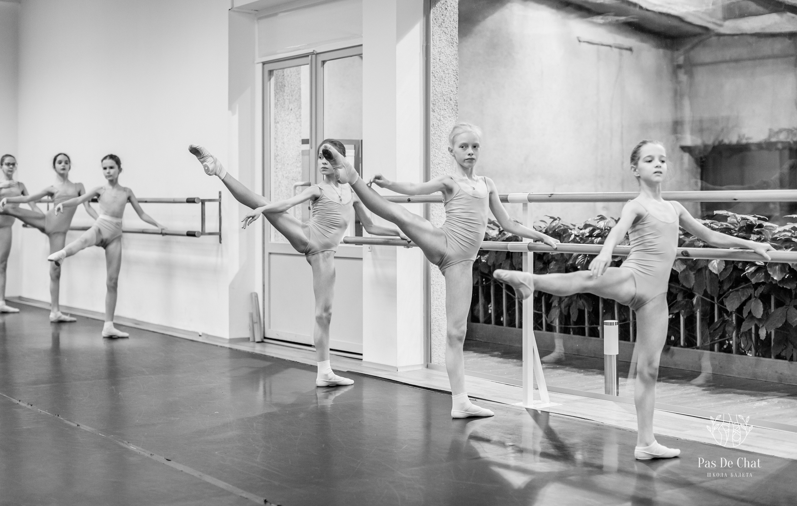Репортажная съёмка открытых уроков и репетиций. Балетный фотограф Алина Ханько — Душа Балета