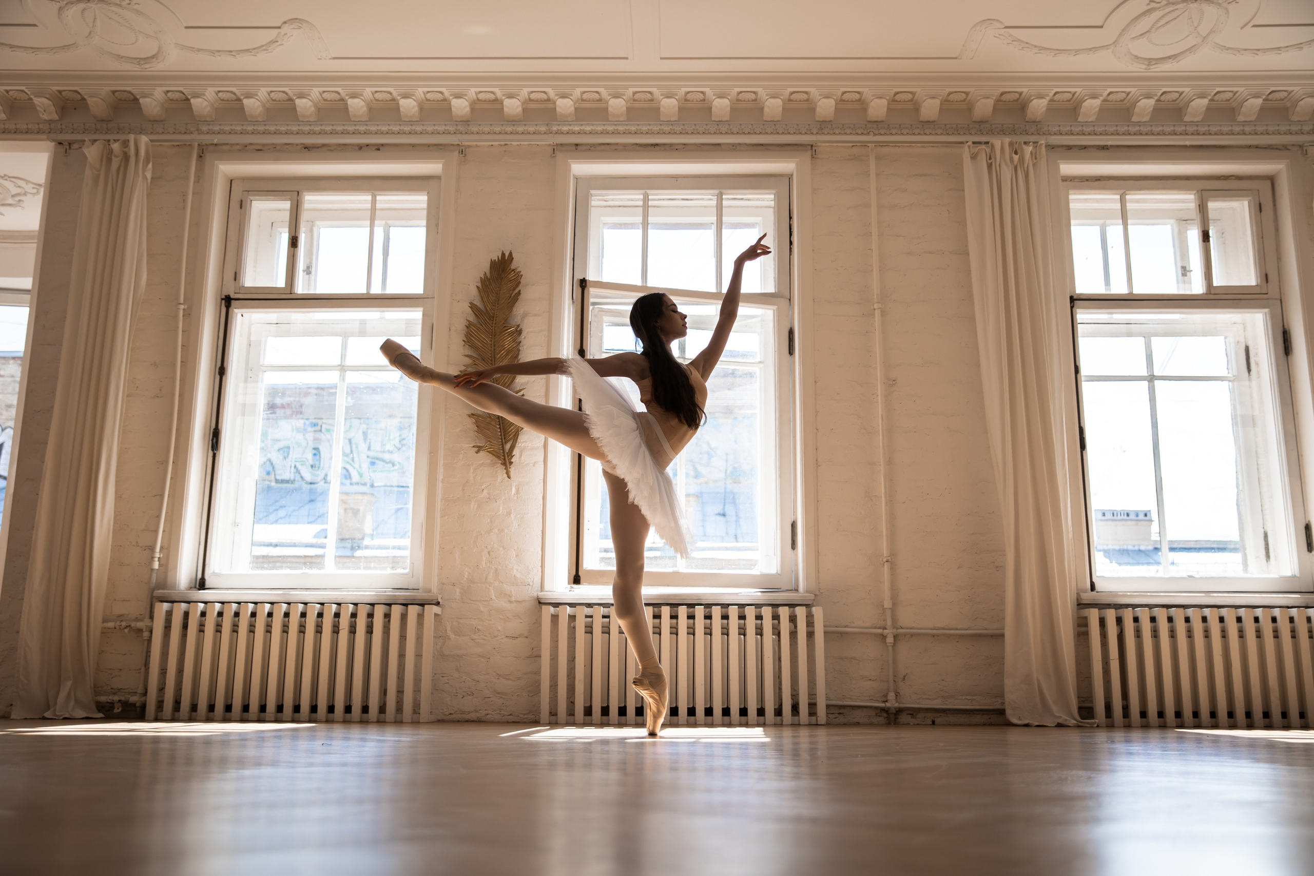 Балетная съёмка в интерьере. Балетный фотограф Алина Ханько — Душа Балета