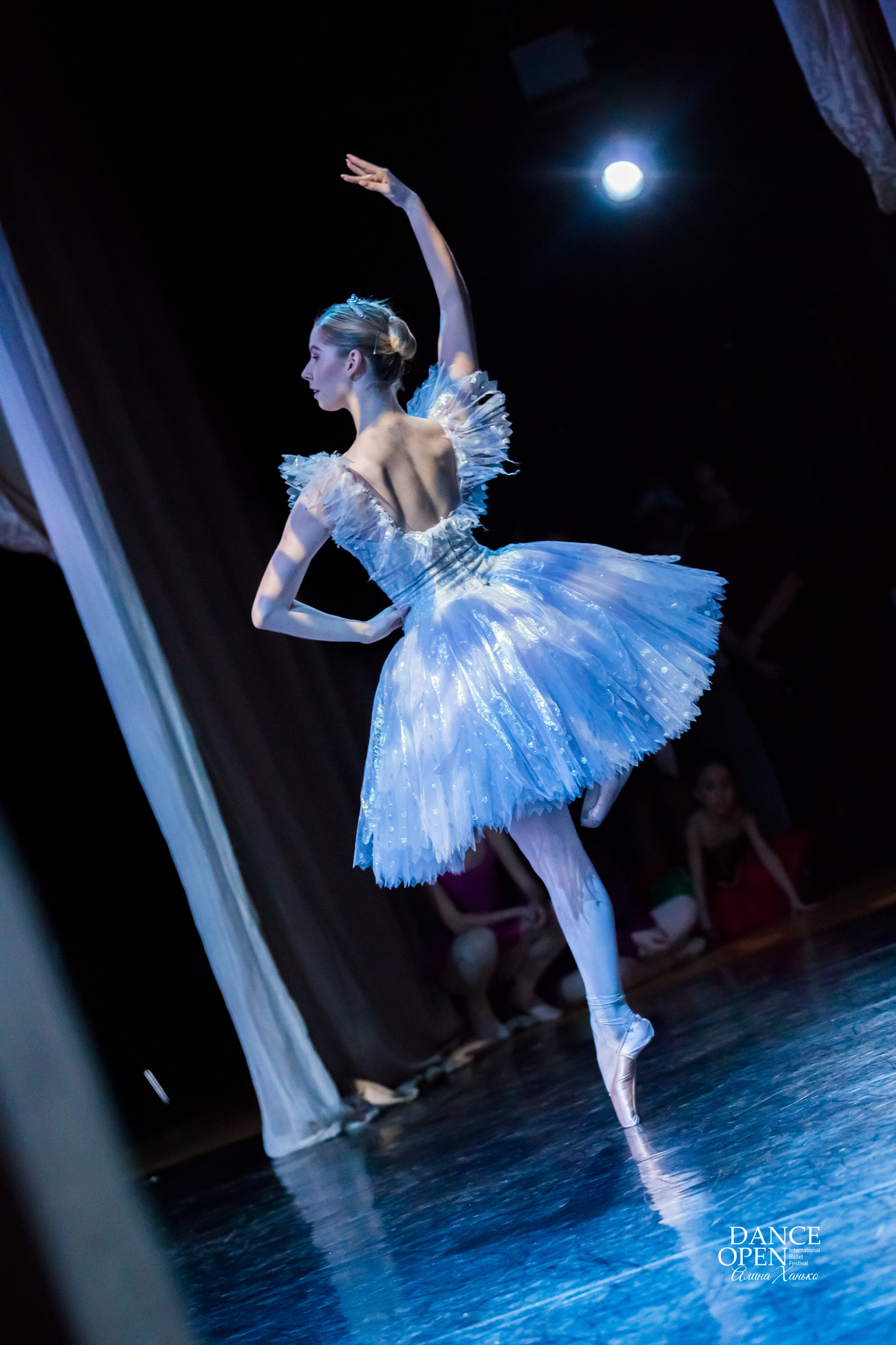 Репортажная съёмка концертов, открытых уроков, балетов. Балетный фотограф Алина Ханько — Душа Балета