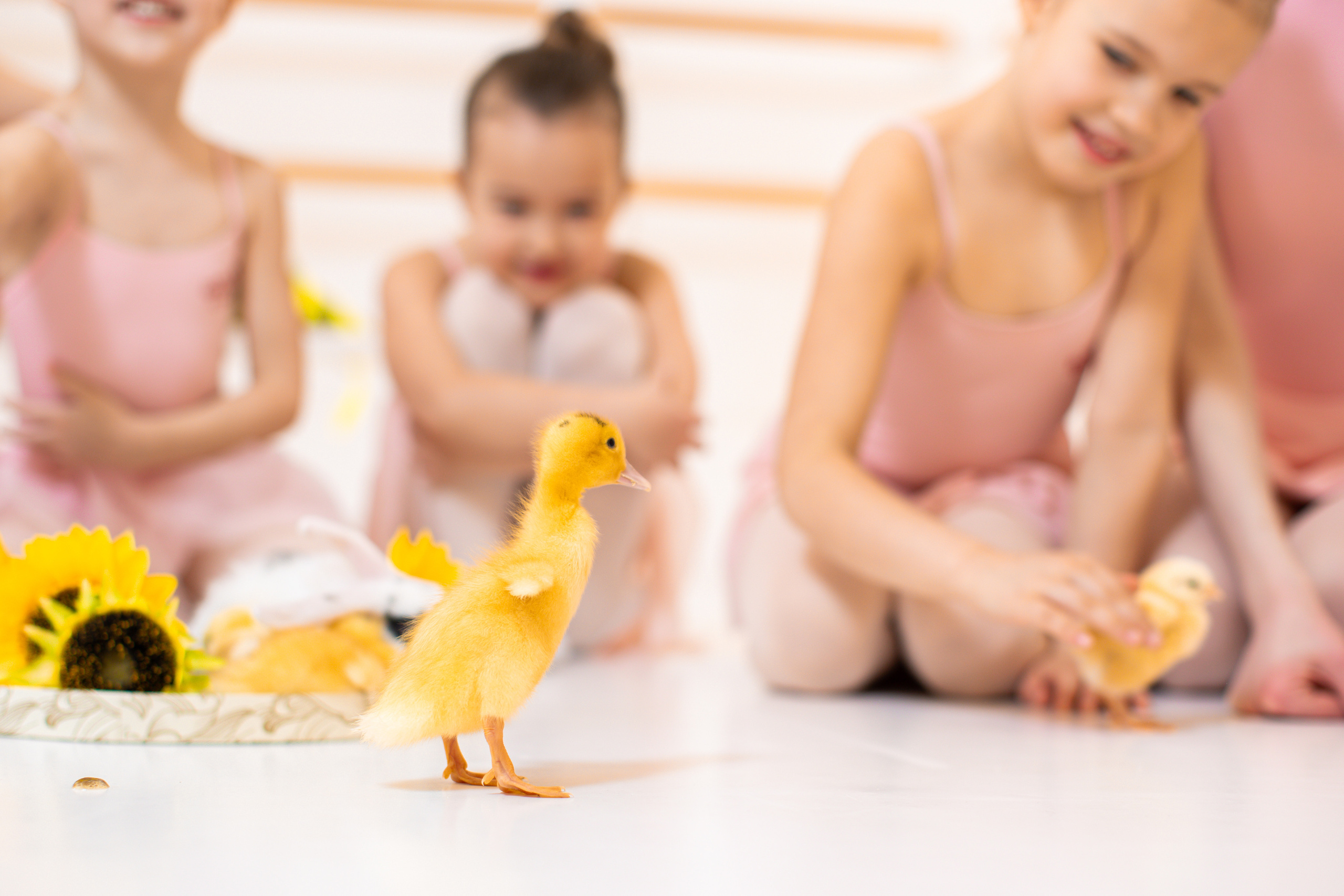 Съёмка в балетном зале. Балетный фотограф Алина Ханько — Душа Балета