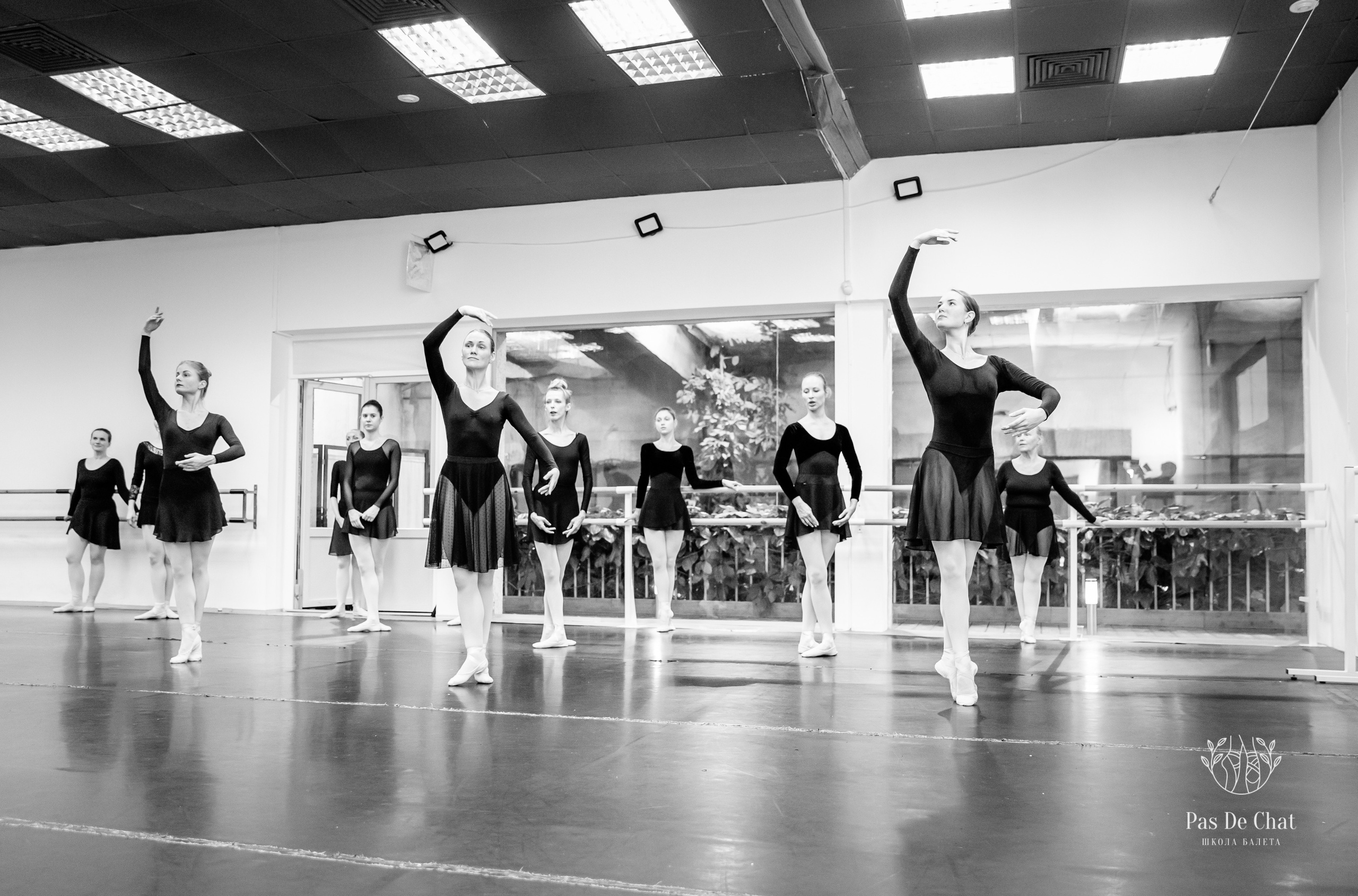 Репортажная съёмка открытых уроков и репетиций. Балетный фотограф Алина Ханько — Душа Балета