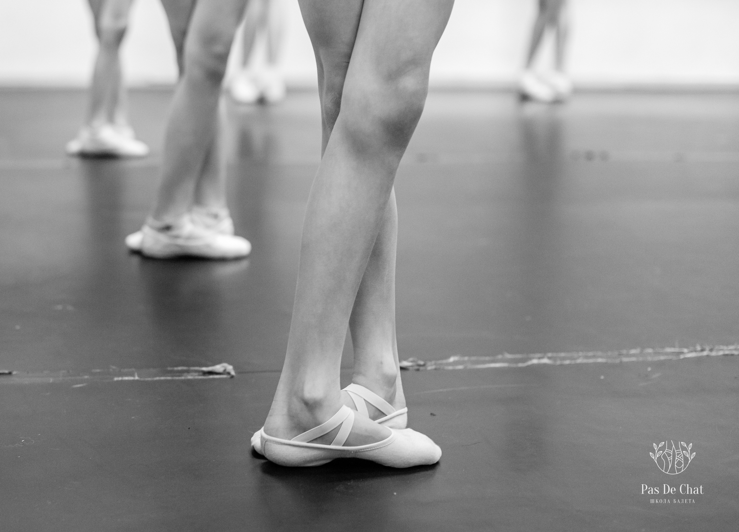 Репортажная съёмка открытых уроков и репетиций. Балетный фотограф Алина Ханько — Душа Балета