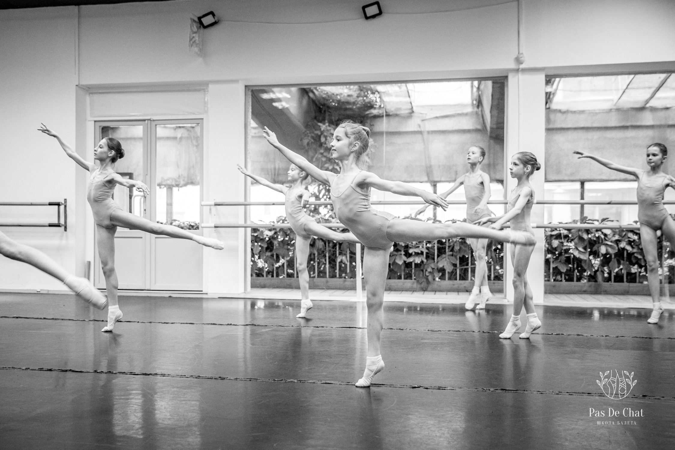 Репортажная съёмка открытых уроков и репетиций. Балетный фотограф Алина Ханько — Душа Балета
