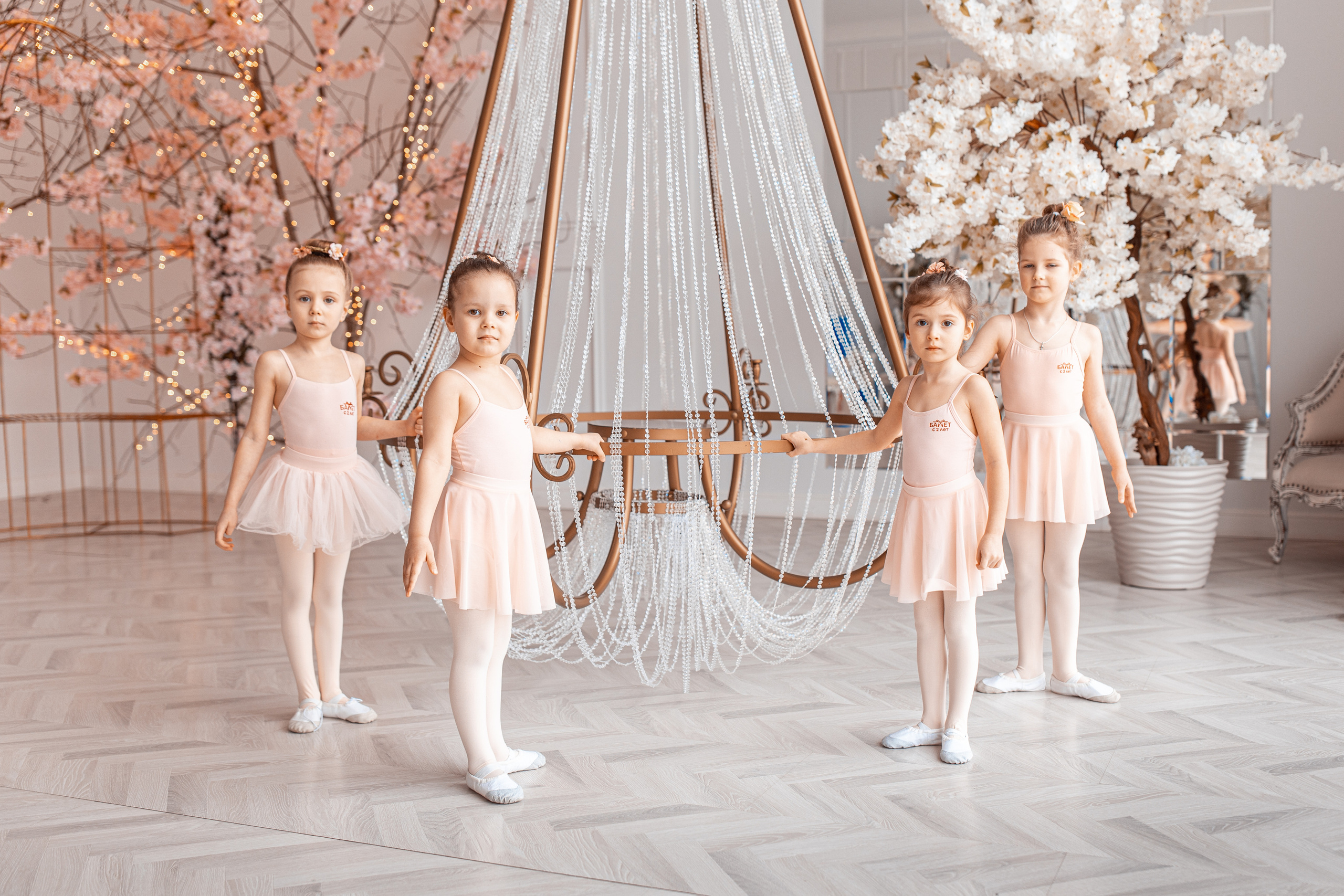 Коллективная фотосъёмка. Балетный фотограф Алина Ханько — Душа Балета