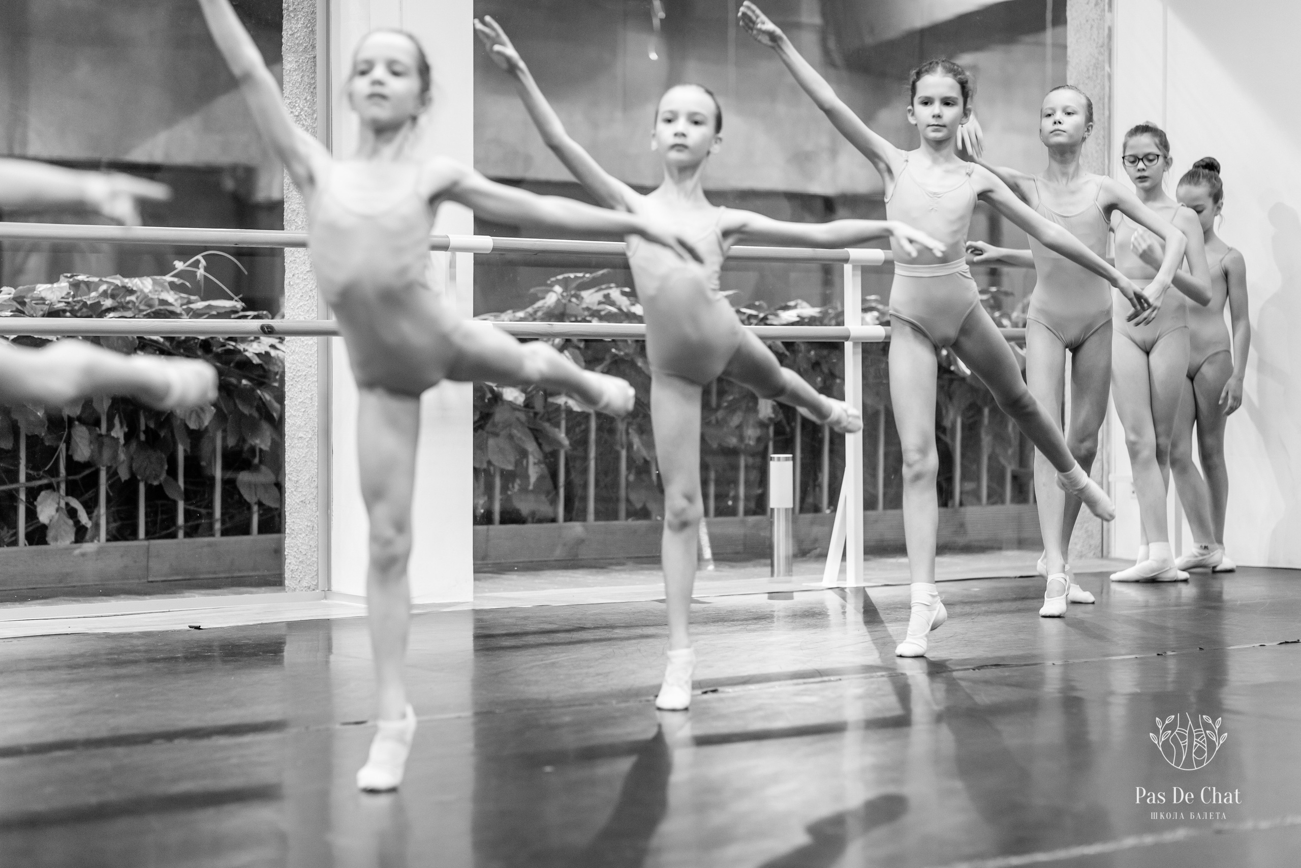 Репортажная съёмка открытых уроков и репетиций. Балетный фотограф Алина Ханько — Душа Балета