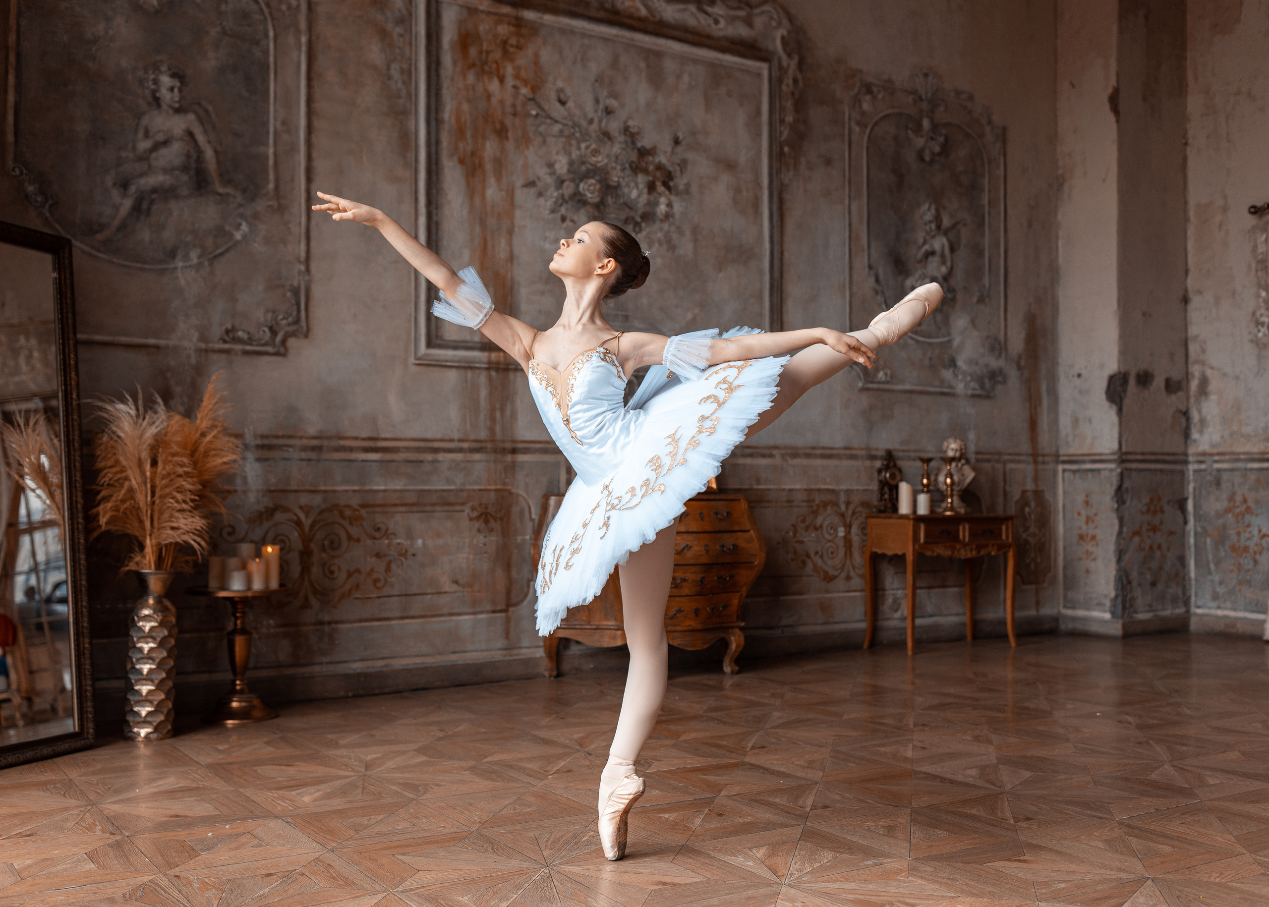 Балетная съёмка в интерьере. Балетный фотограф Алина Ханько — Душа Балета