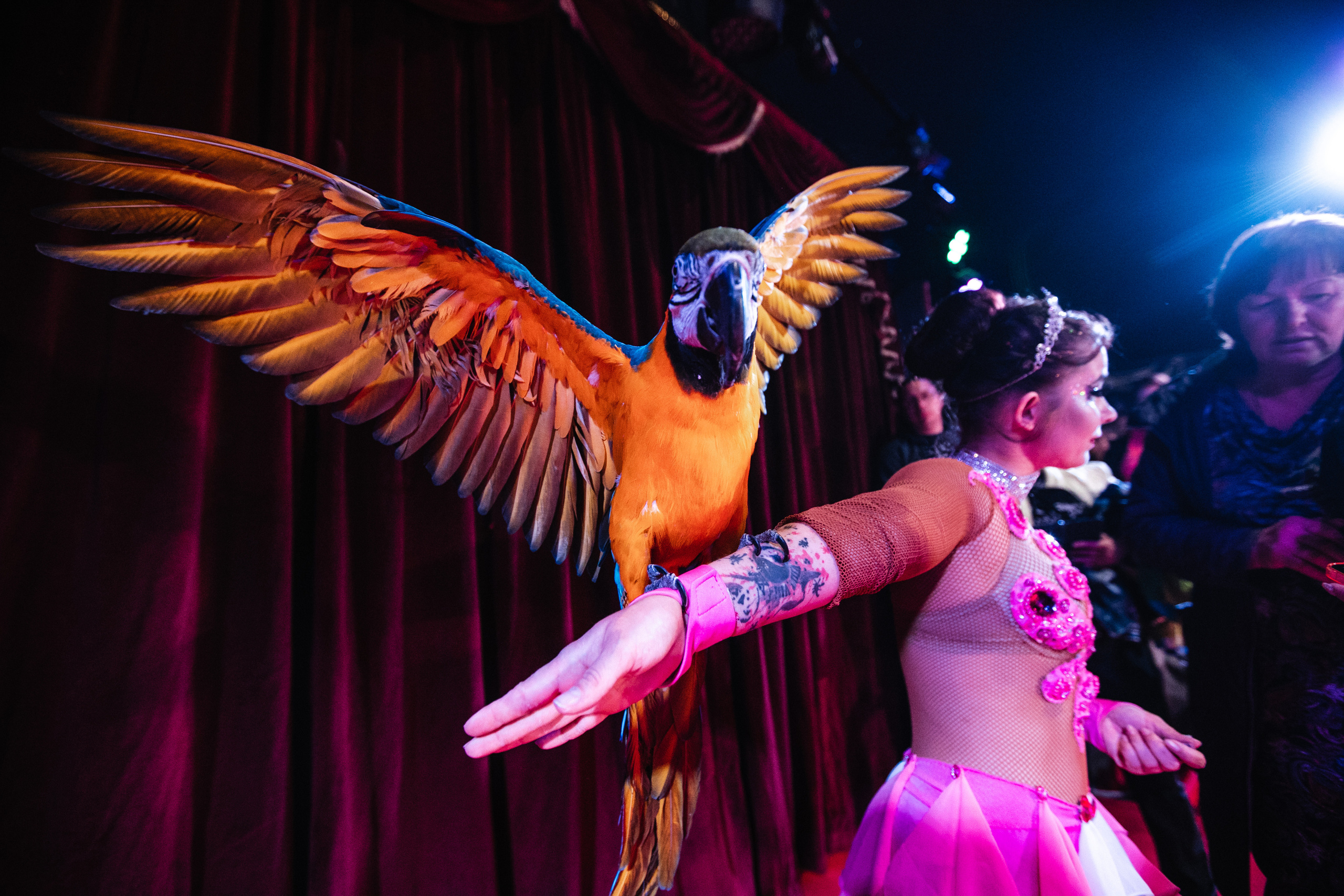 Circus Drive. Нижневартовск 2023. Роман Урумбаев фотограф Нижневартовск