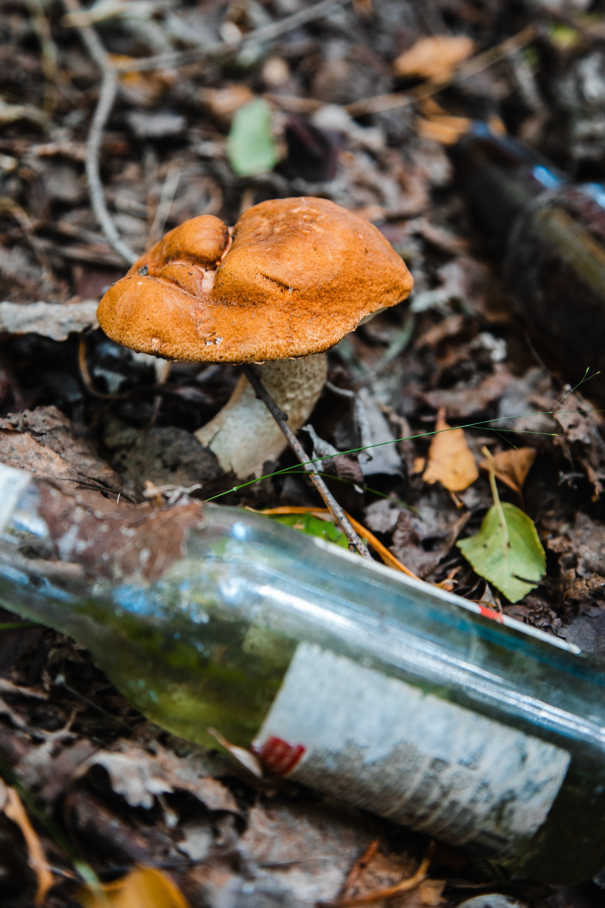 Чистые игры 2023. Роман Урумбаев фотограф Нижневартовск