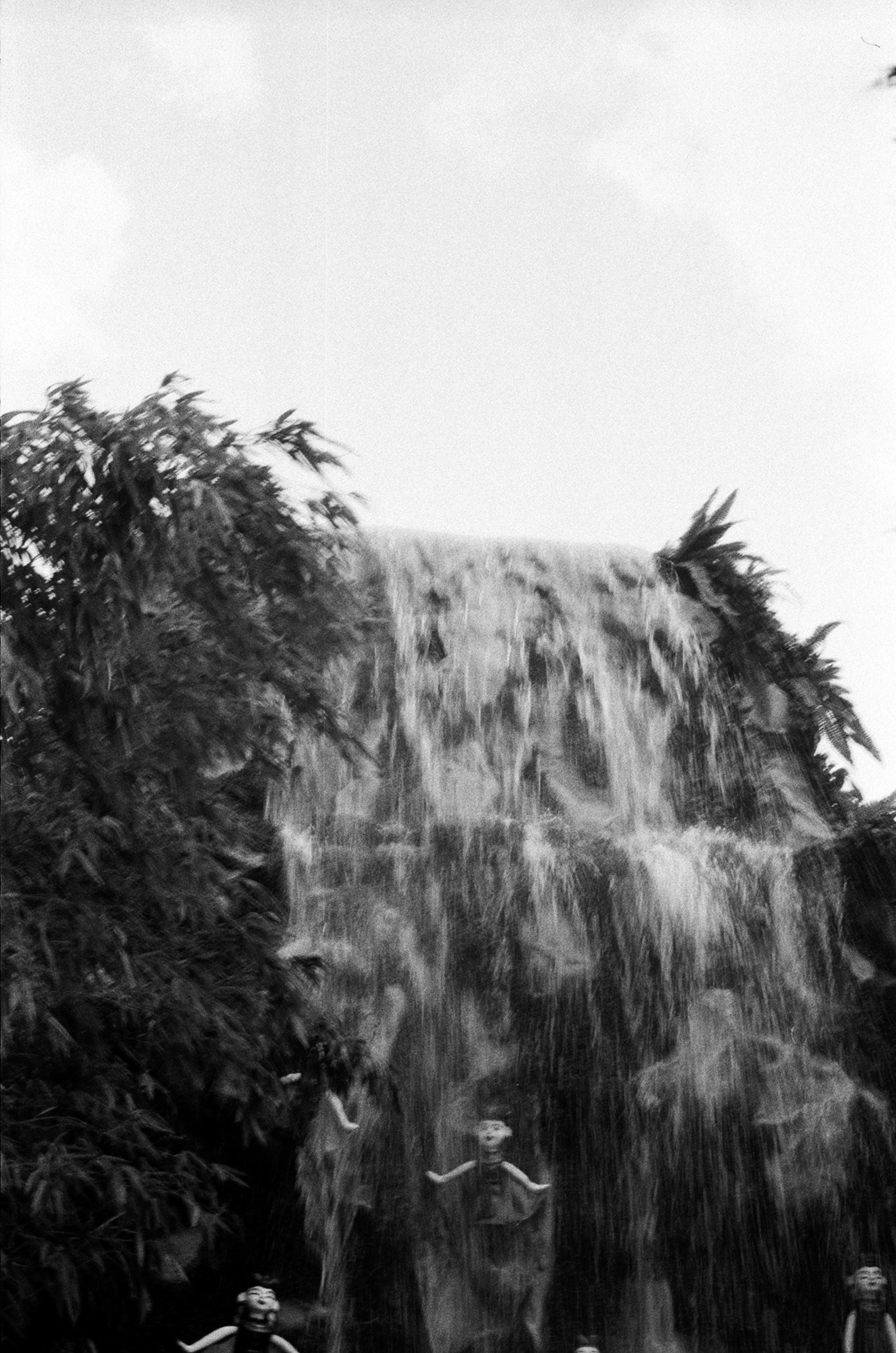 Альбом пленочных ЧБ-фото. Репортажный и семейный фотограф — Шелихов Сергей