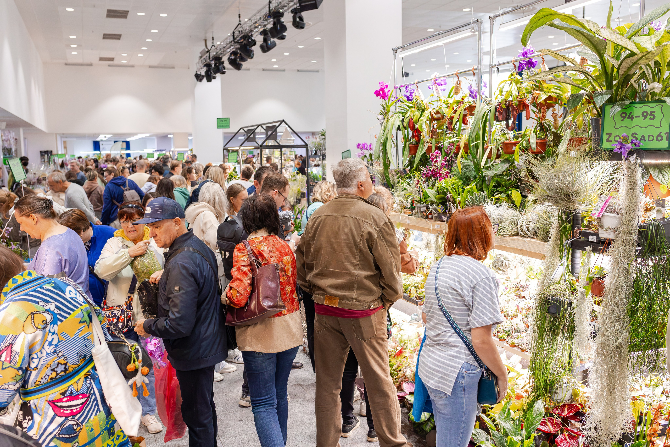Орхидиум сентябрь 2025. Александра Куликова фотограф, Москва