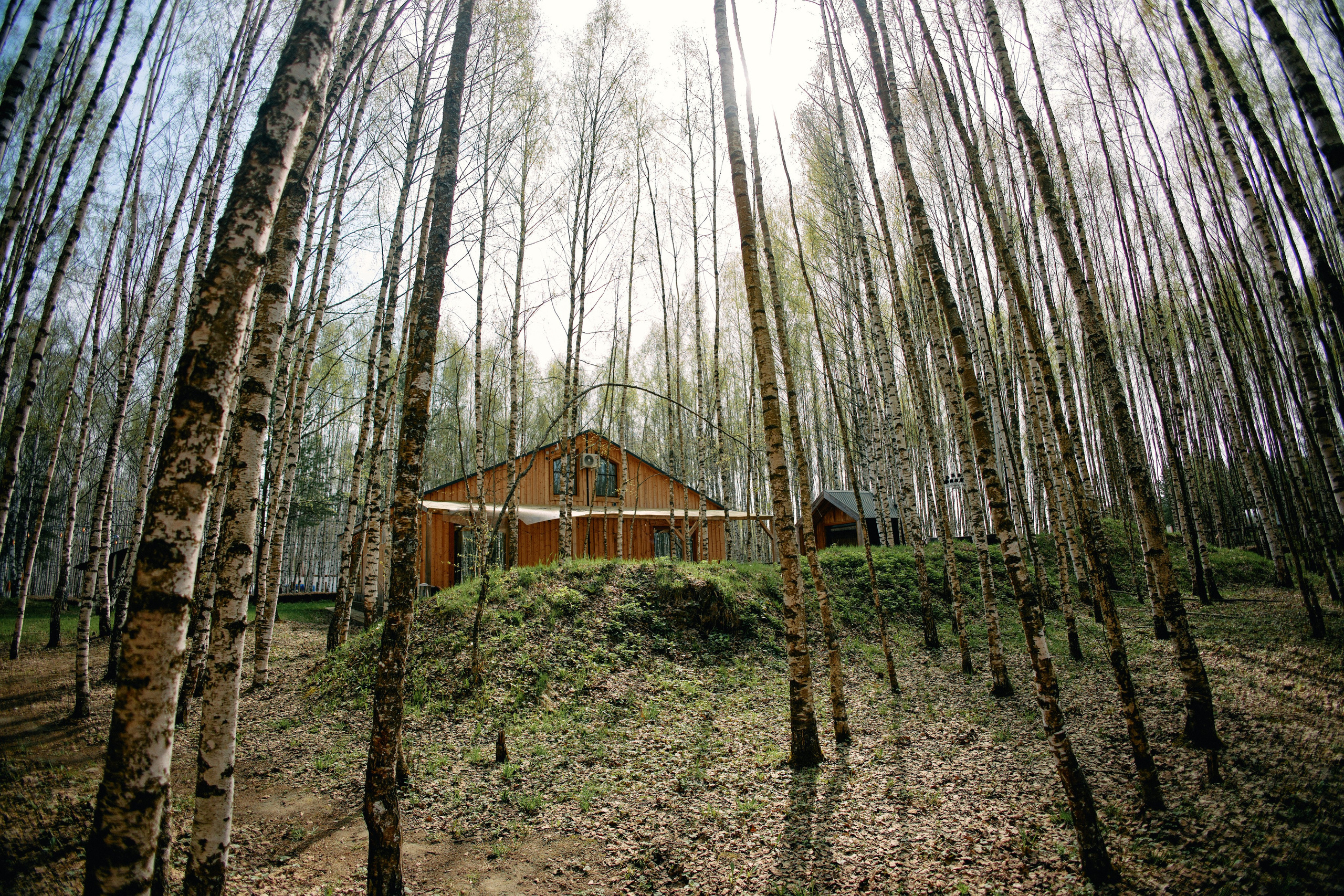 Бутик-отель Поле летом. Профессиональный Фотограф во Владимире, в Москве и в Суздале — Полина Романычева