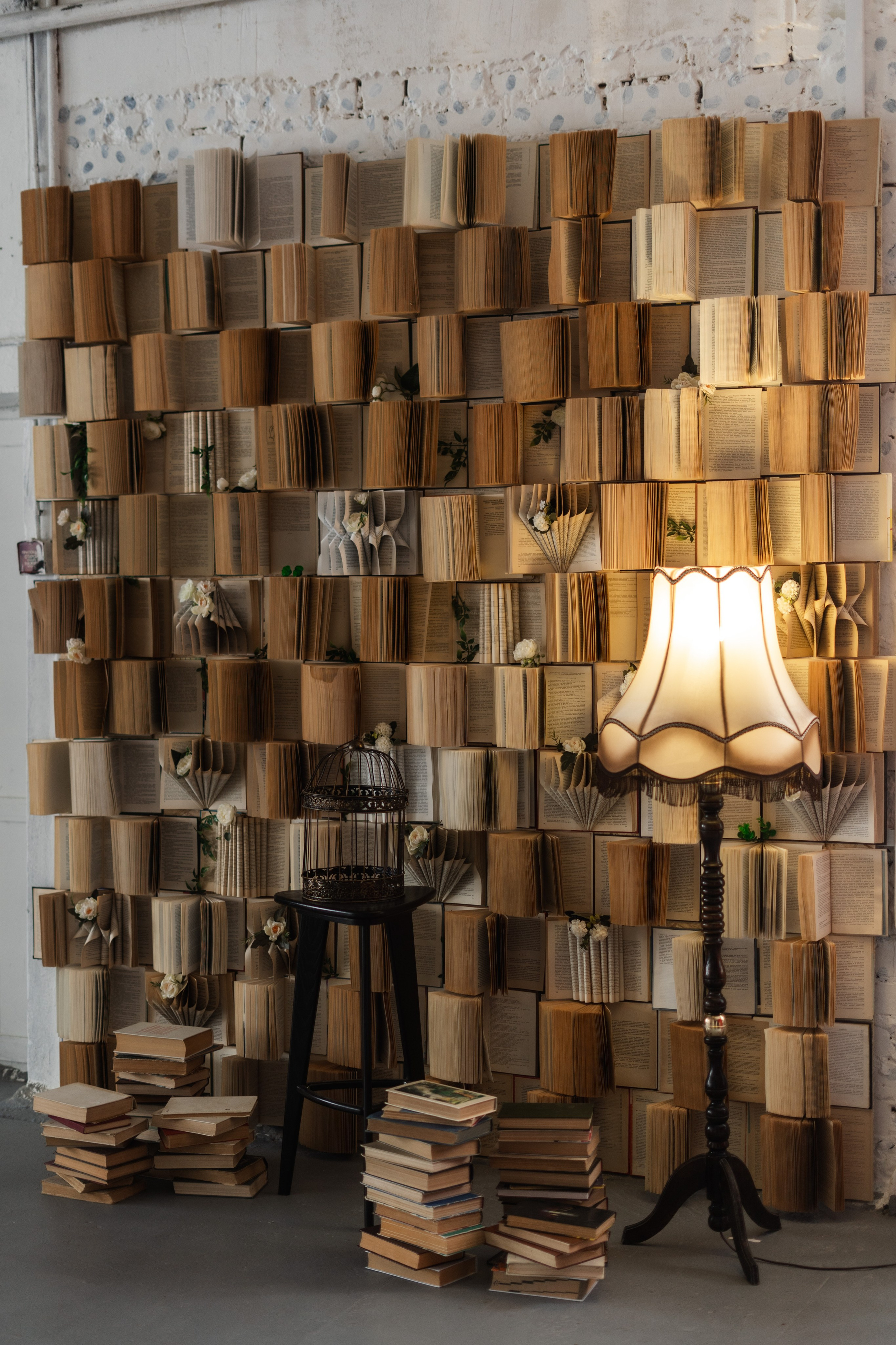 зал Дзен фотостудия «Импульс» Саратов  книжная зона