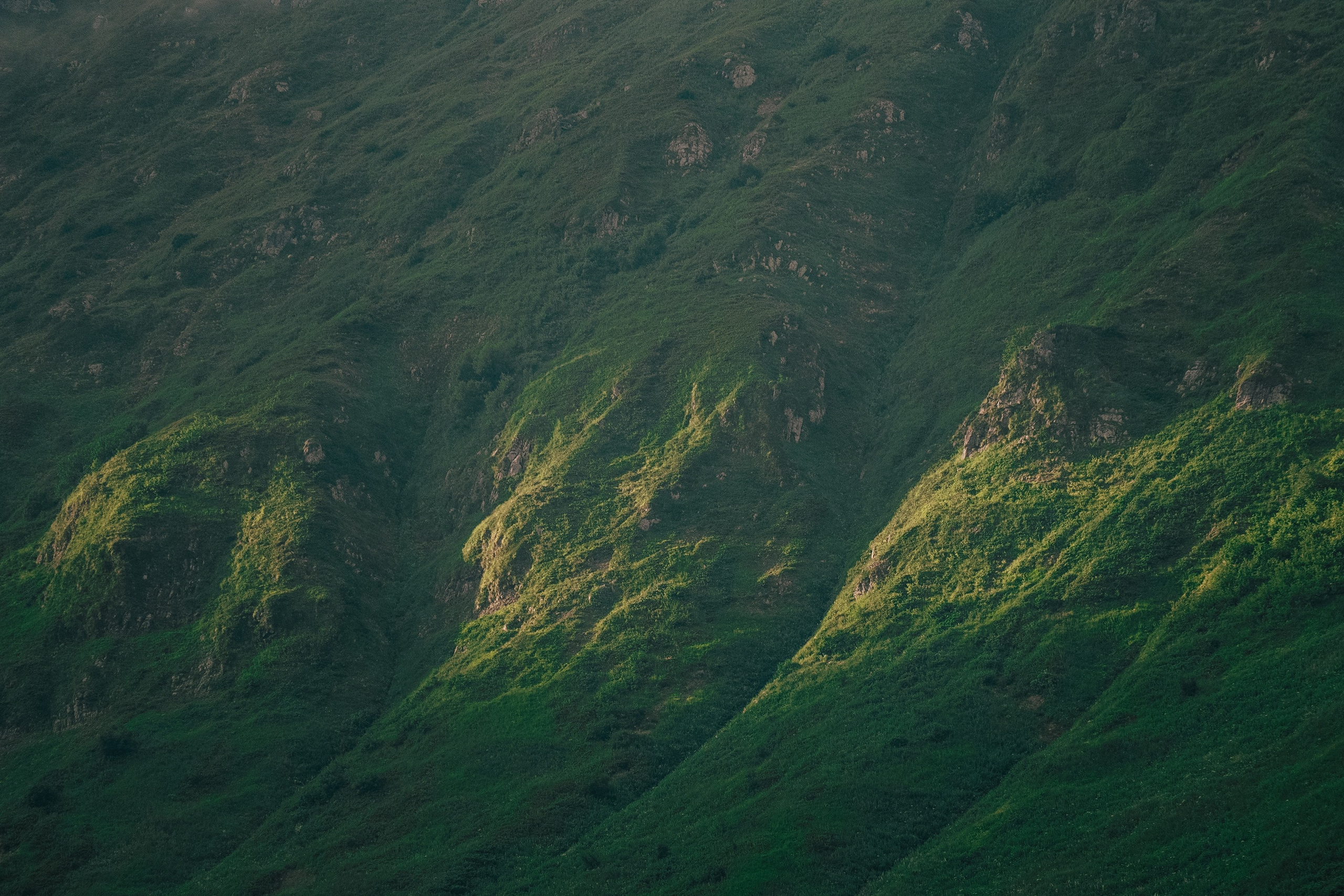 Нахазо ✽ Июль. Репортажный фотограф | Роза Хутор Красная Поляна Сочи Сириус