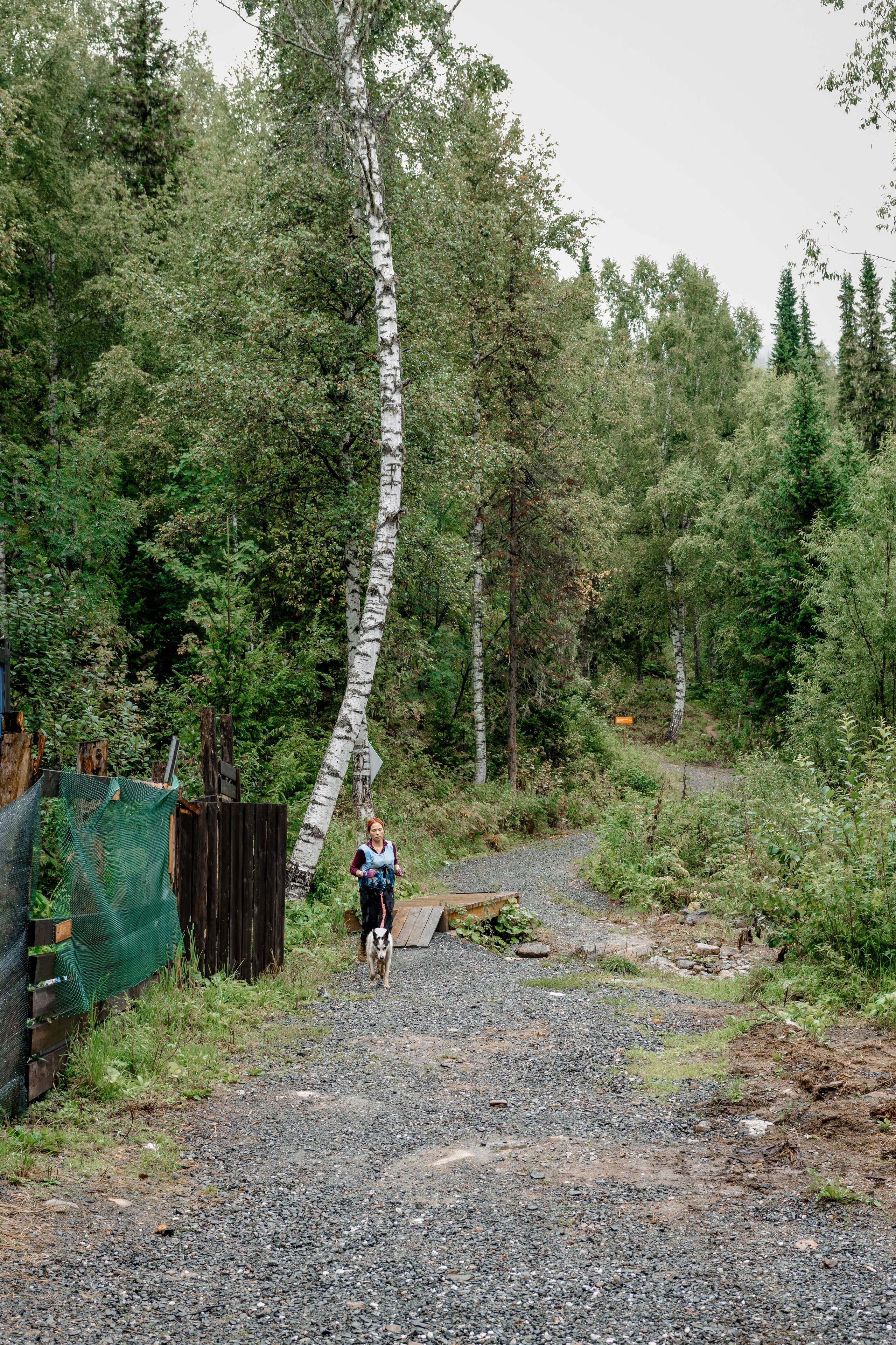 Дог-треккинг