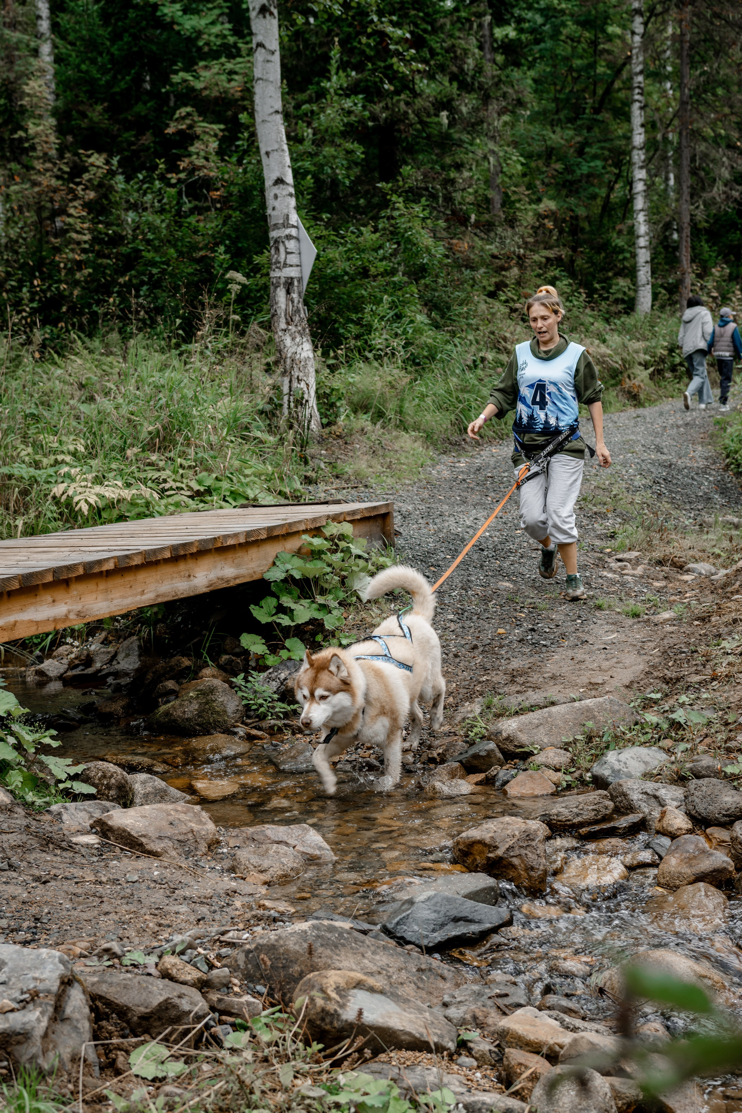 Дог-треккинг