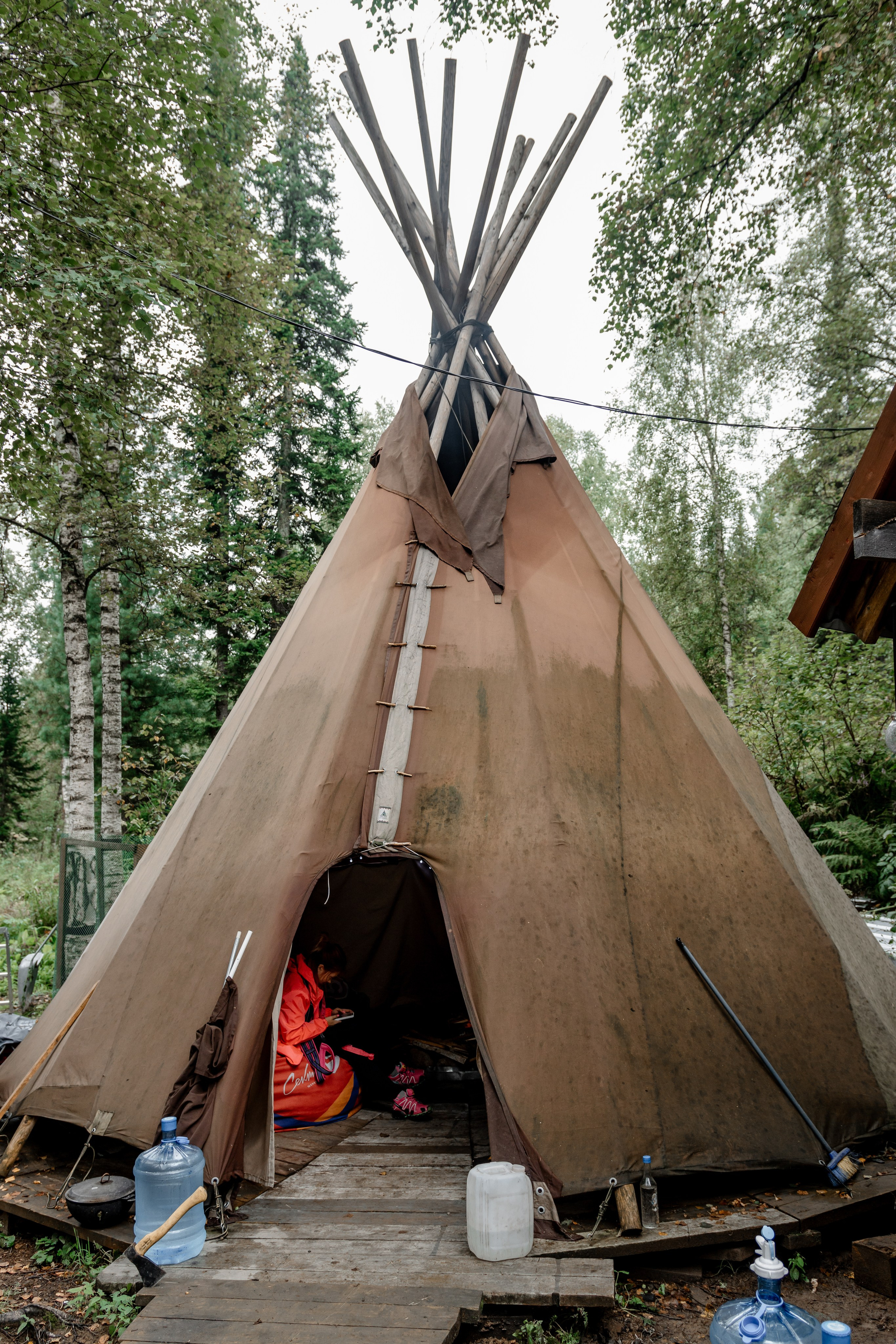 Дог-треккинг