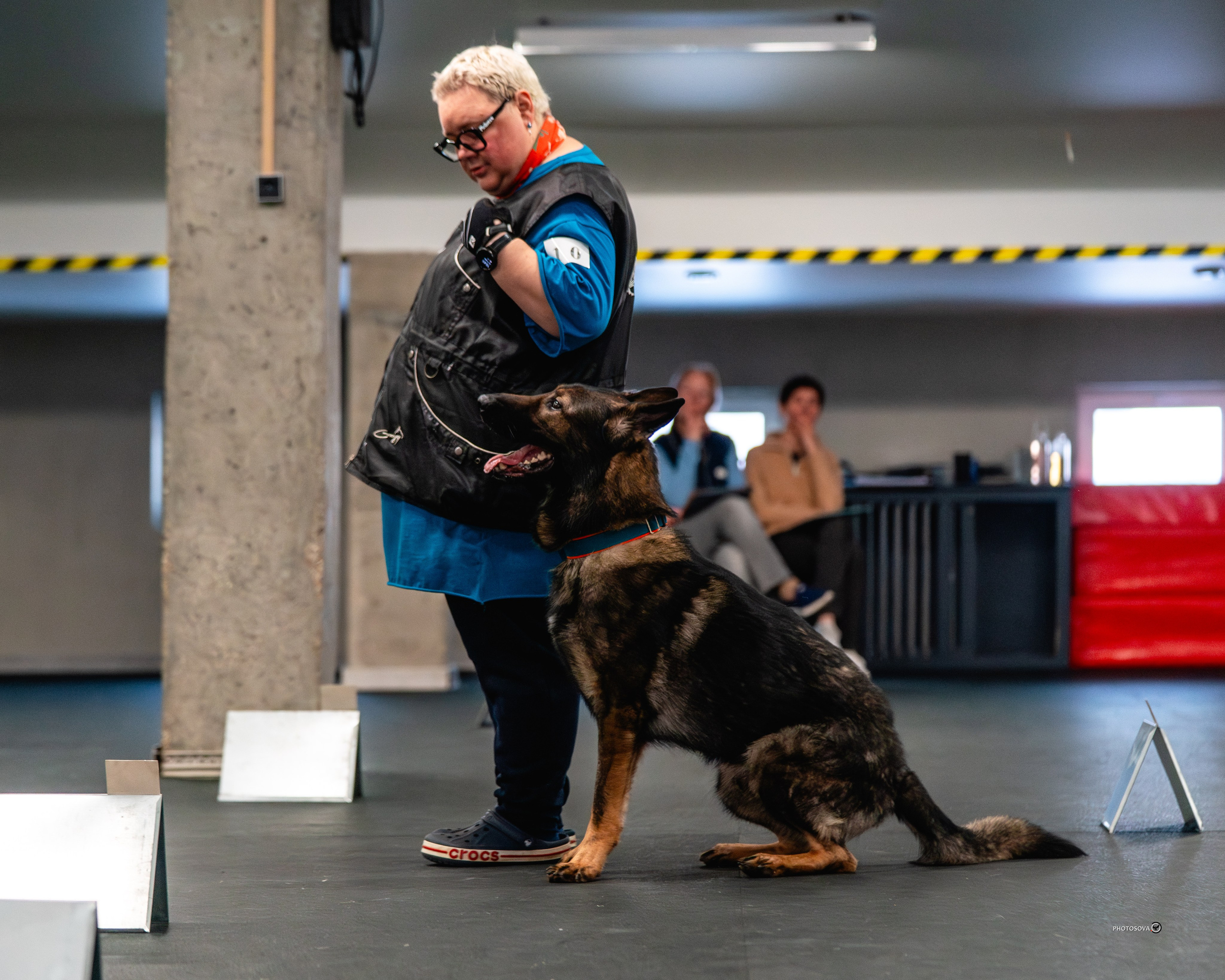 ТЫ И Я (соревнования по ралли-обидиенс). Фотограф-анималист, семейный фотограф в Москве и Подмосковье. Фотосъёмка кинологических дисциплин