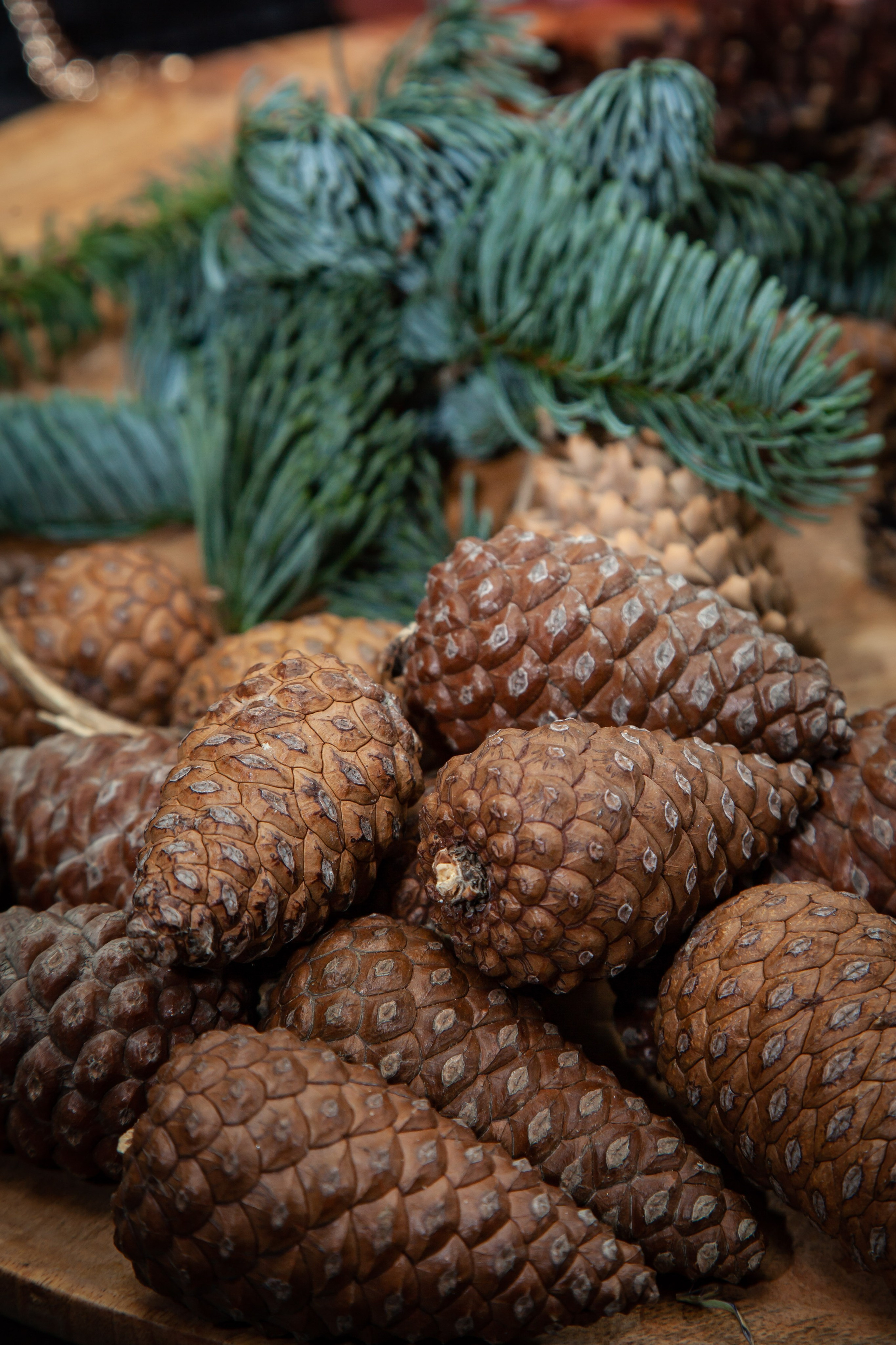 Мастер-классы. Двойняшки-фотографы Анна и Анастасия в Санкт-Петербурге