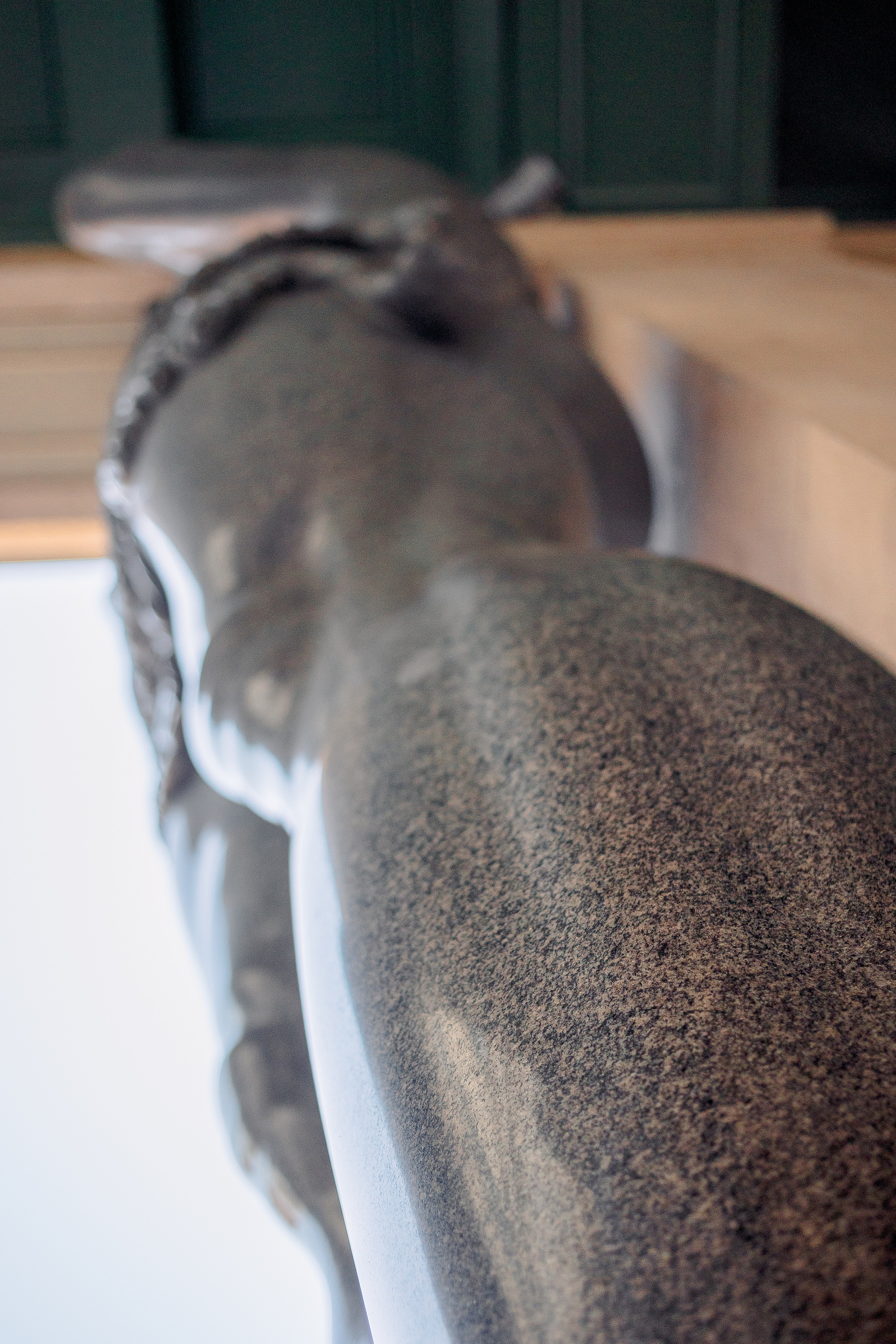 Портретная сьемка. Фотограф в Санкт-Петербурге