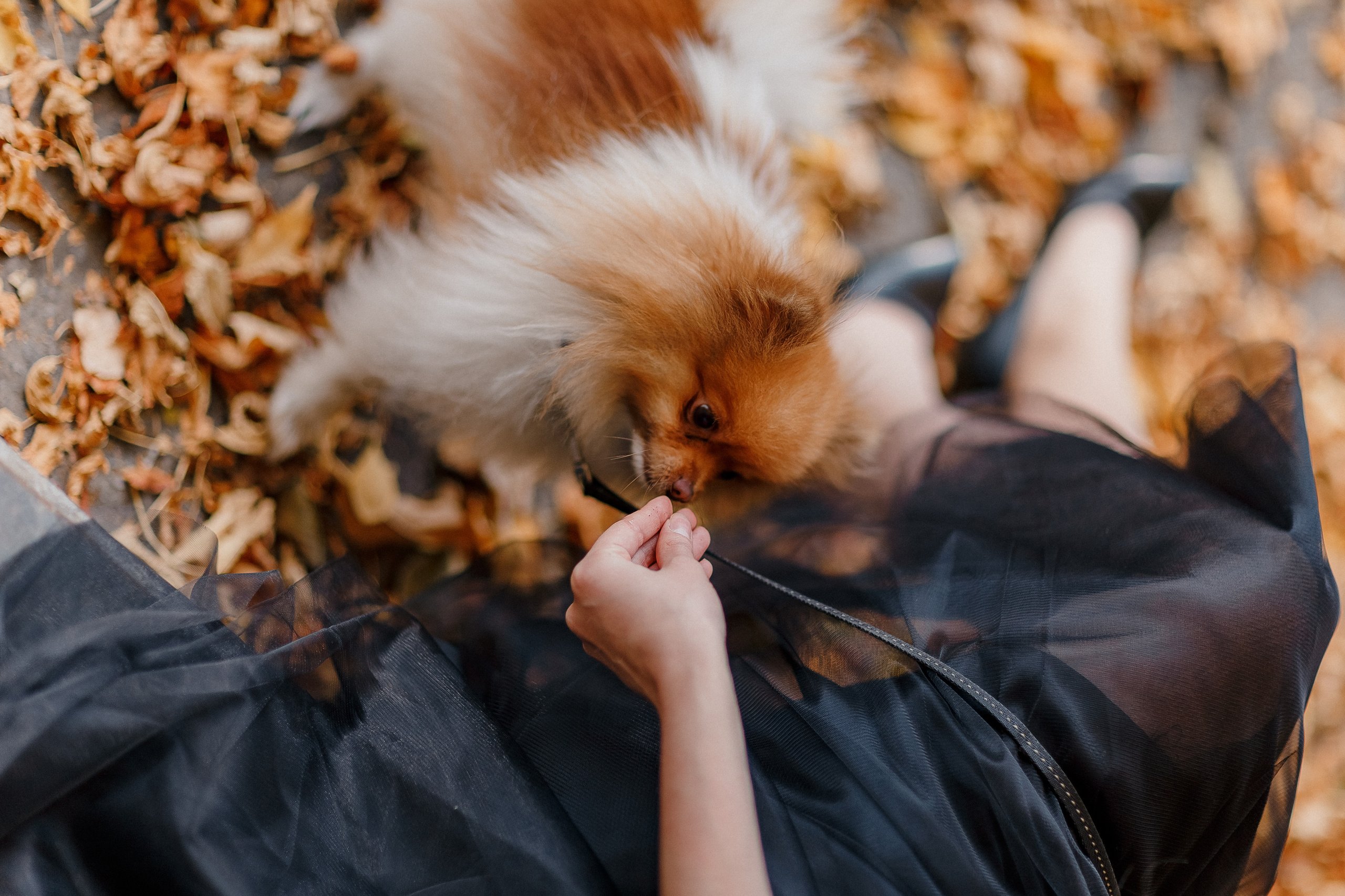 Портретная сьемка. Фотограф в Санкт-Петербурге