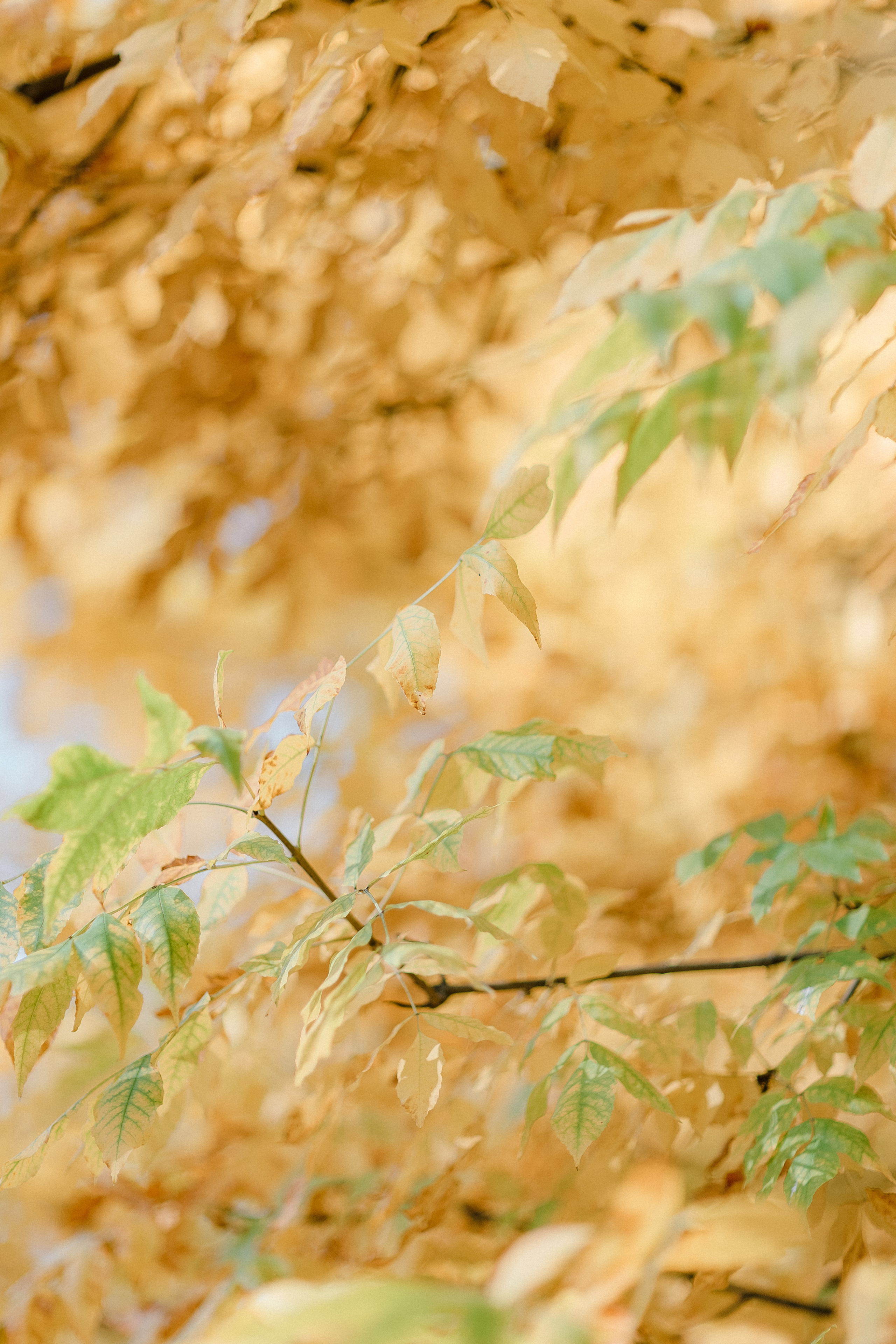 Портретная сьемка. Фотограф в Санкт-Петербурге