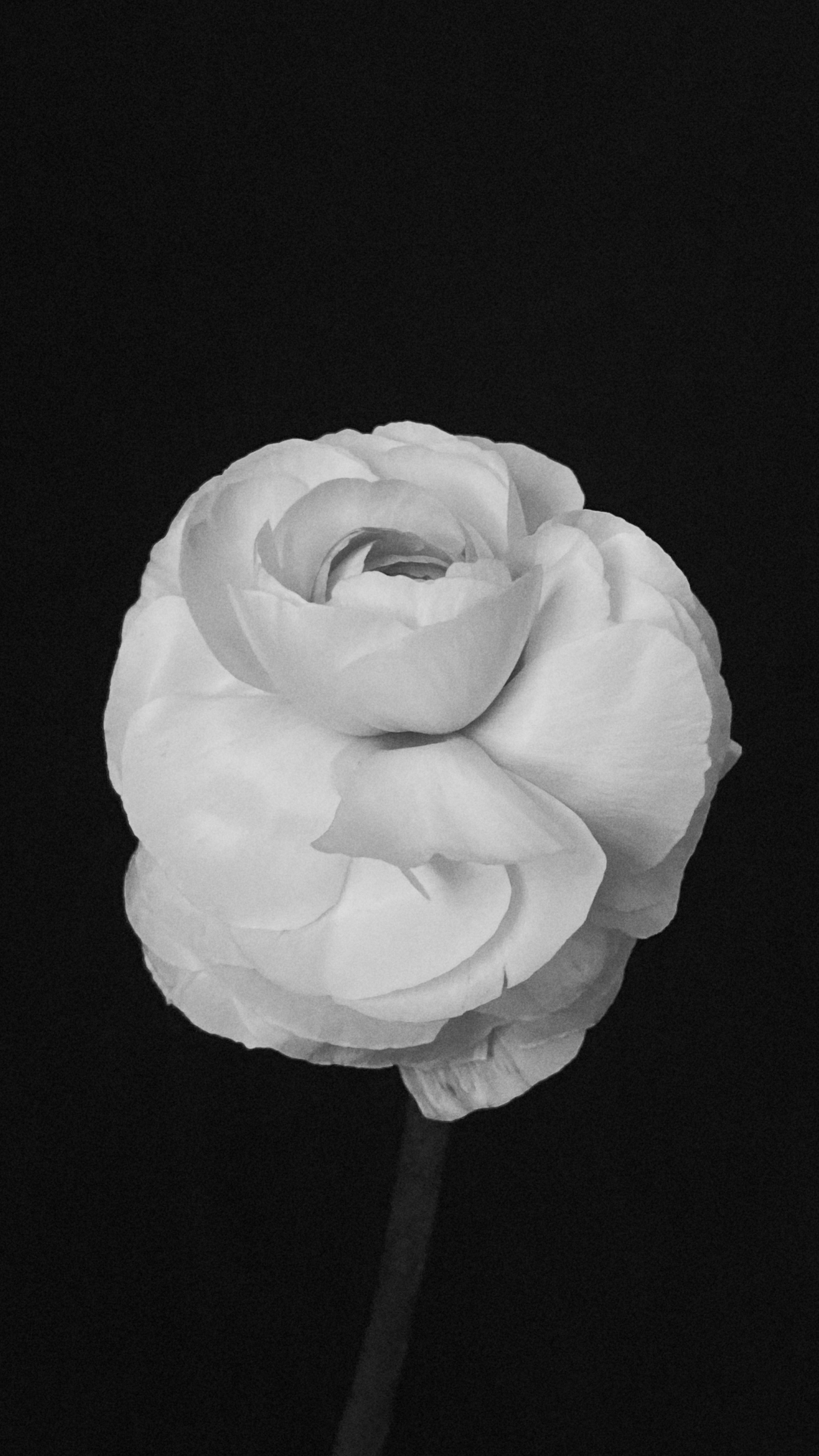 Интеллигентный фотограф