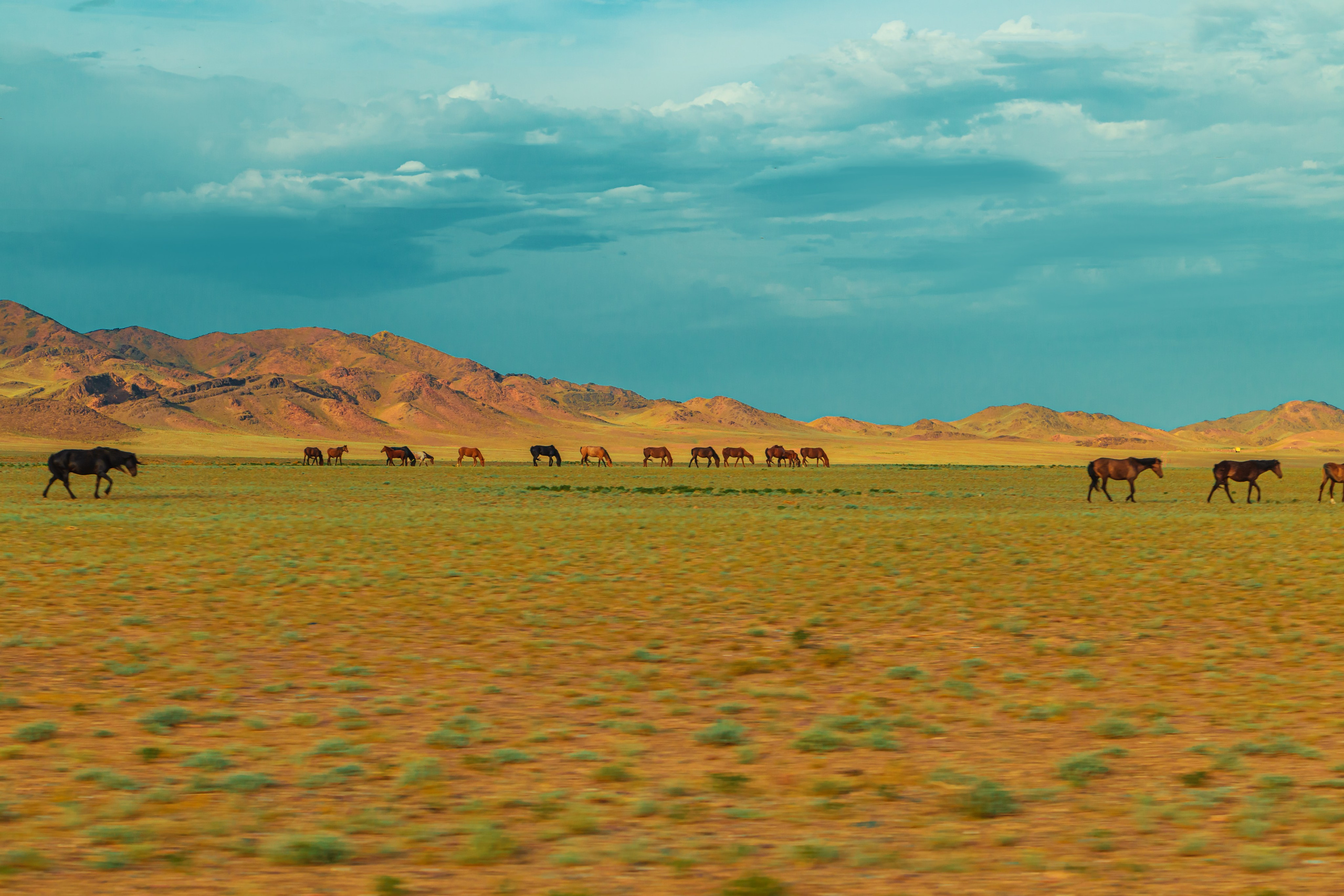 Казахстан. Тревел-фотограф Елизавета Ларионова