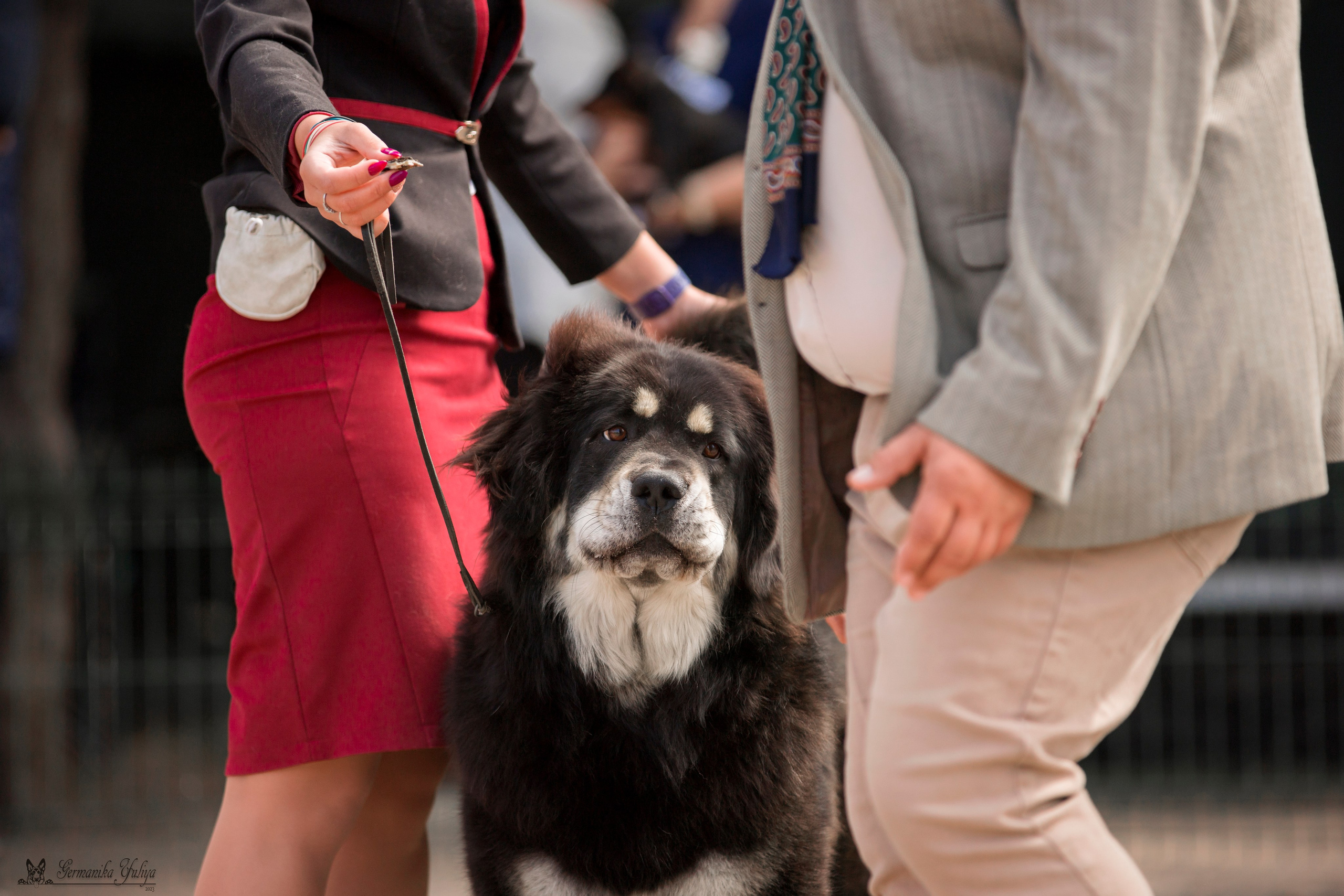 Бишкек 29.09-01.10.2023. Фотограф-анималист Юлия Германика