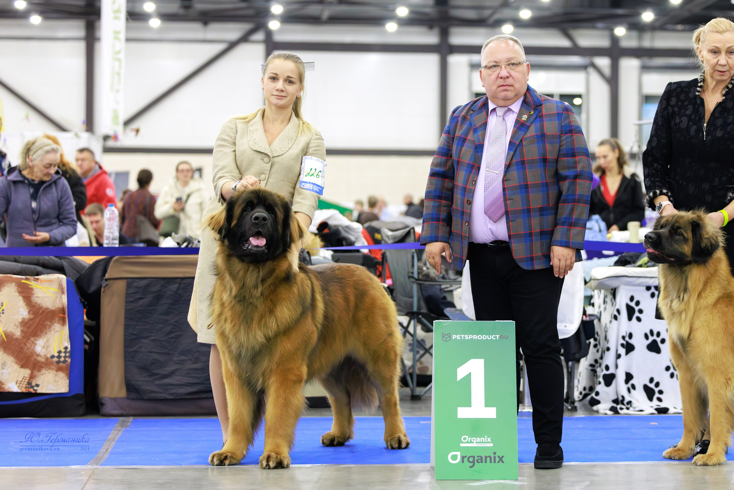 Санкт-Петербург 14.12.2024 ОС. Фотограф-анималист Юлия Германика