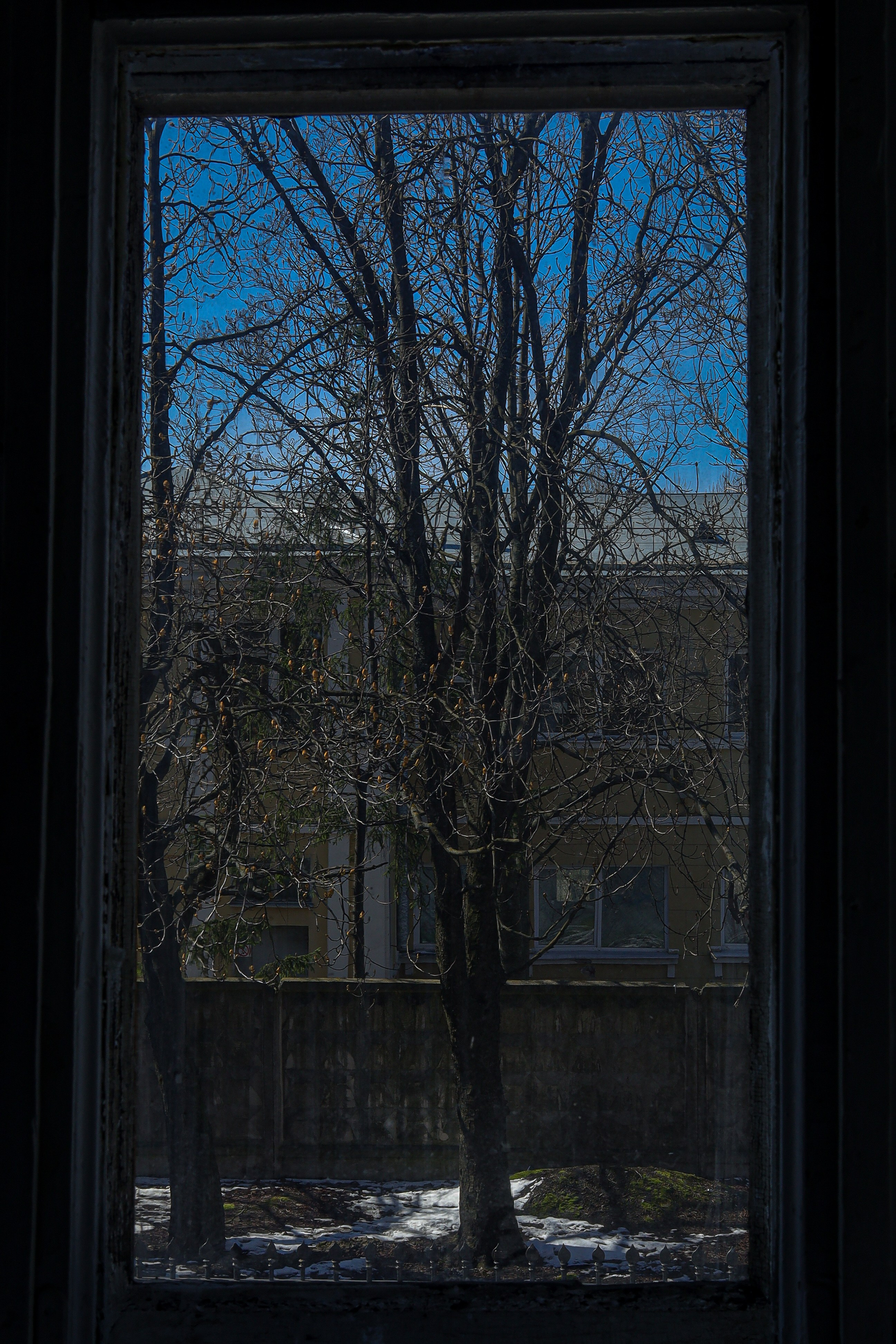 Природа &. Фотохудожник в СПб