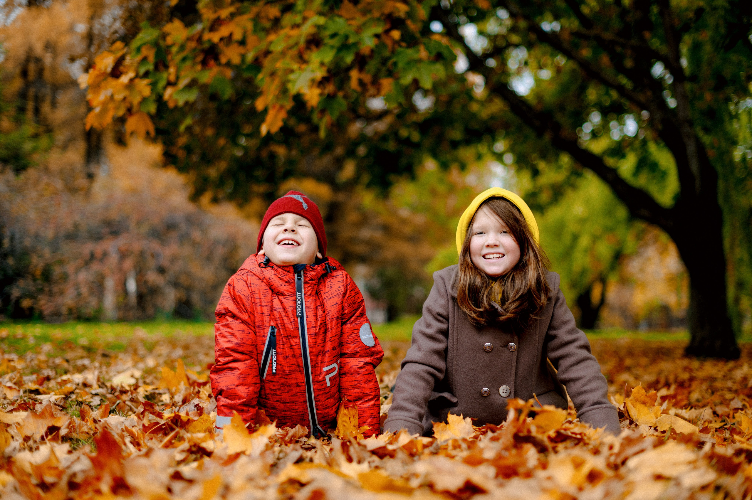 ОСЕННИЙ БОТСАД. Шашкова Вероника / Свадебный и семейный фотограф Москва и Ярославль