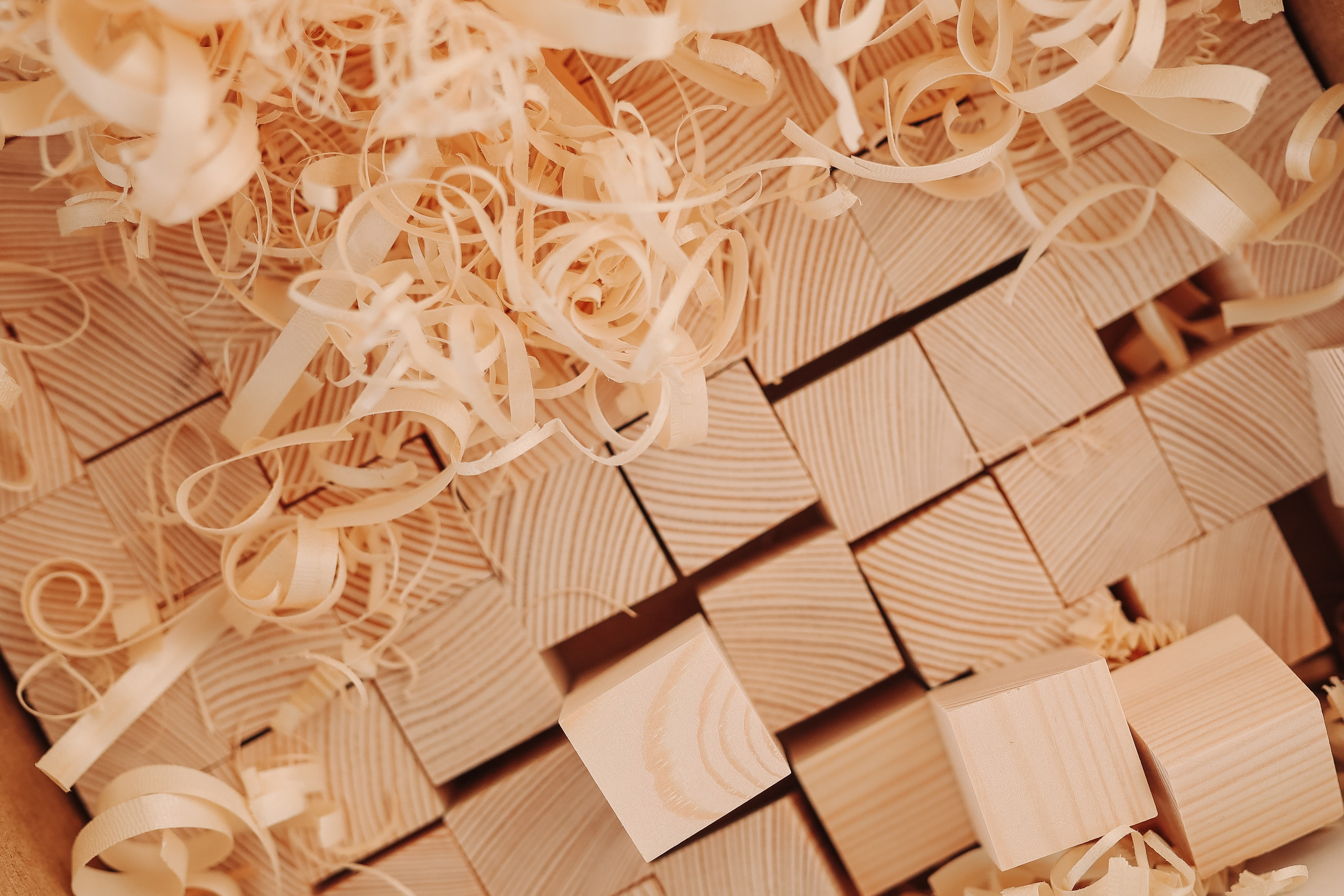 Набор для творчества. Фотограф  Ксения Евдокова. Дзержинск, Нижний, Москва, Питер