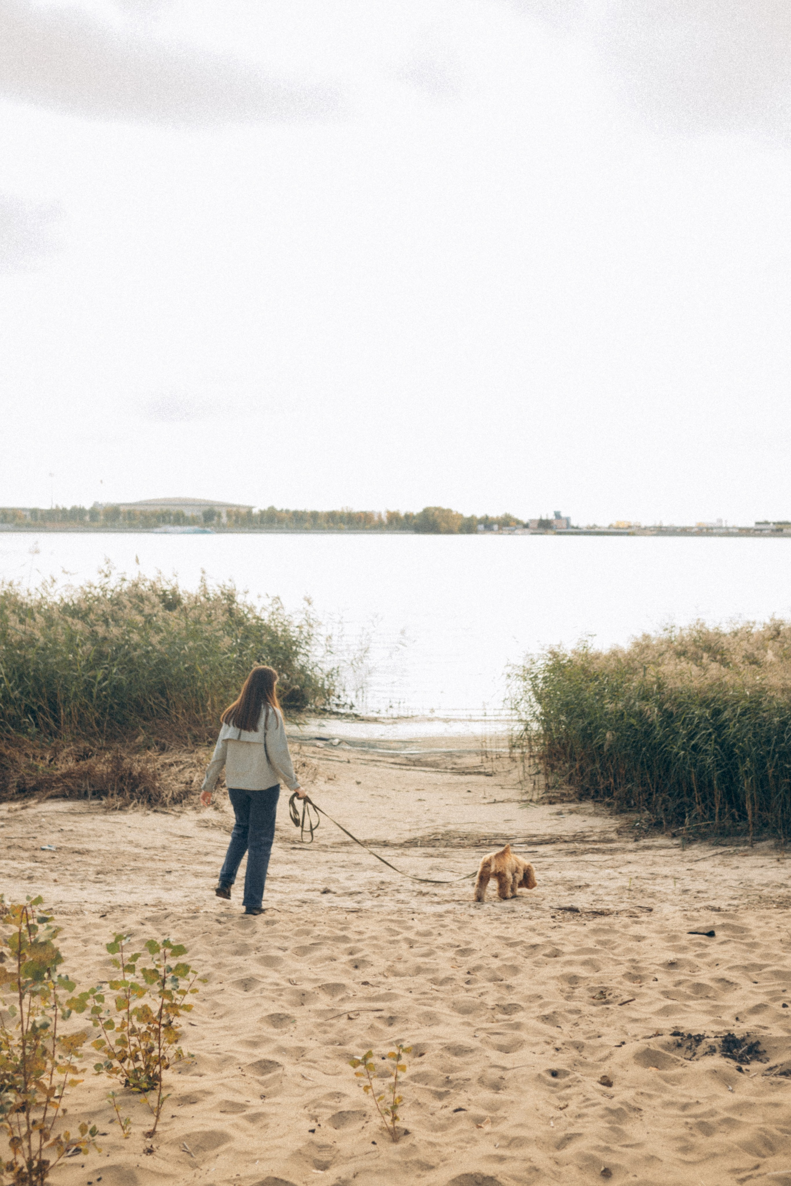 Саша Леся и Чипс. Свадебный фотограф Казань