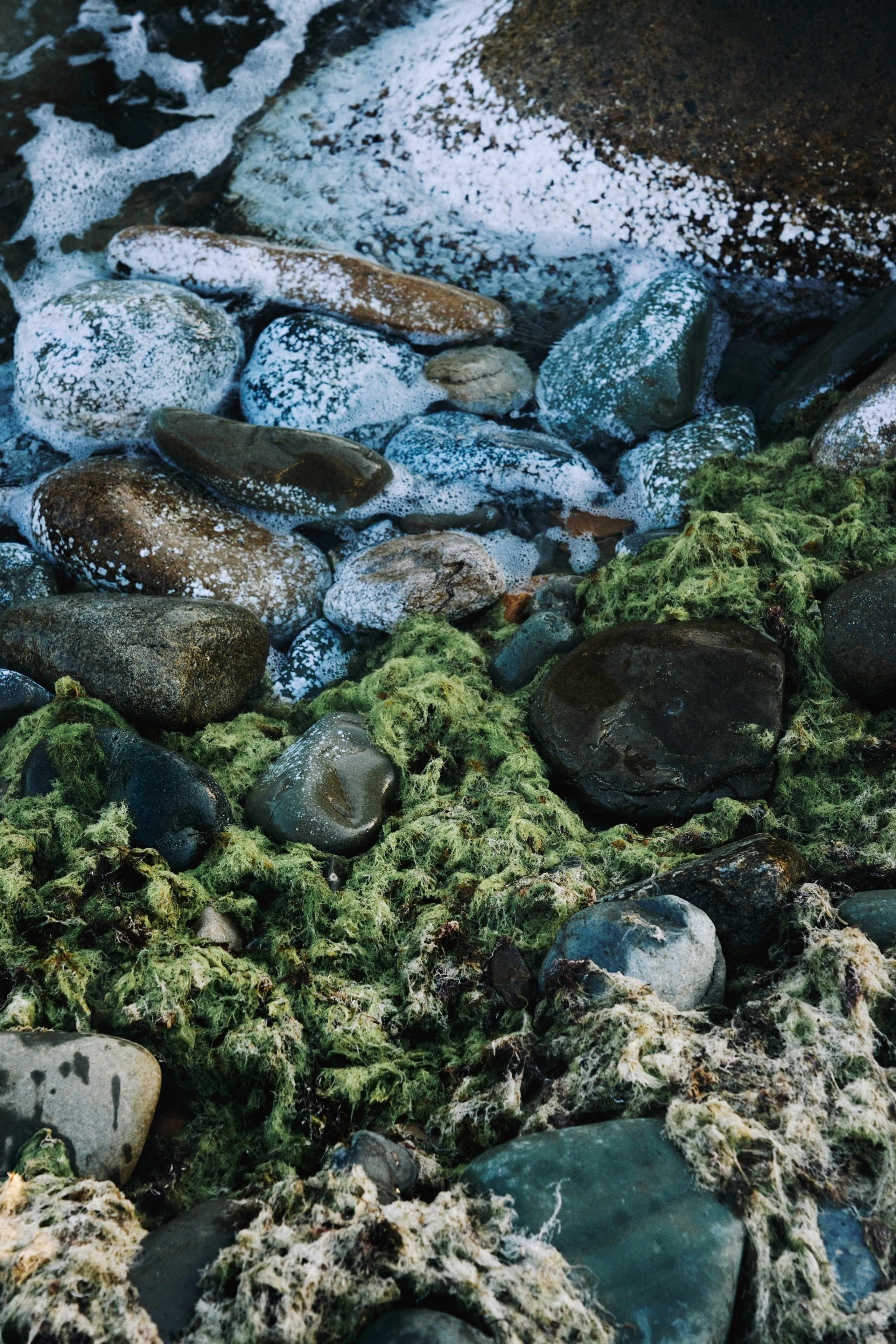 Юля. Фотограф и видеограф в Москве Юлия Прушинская