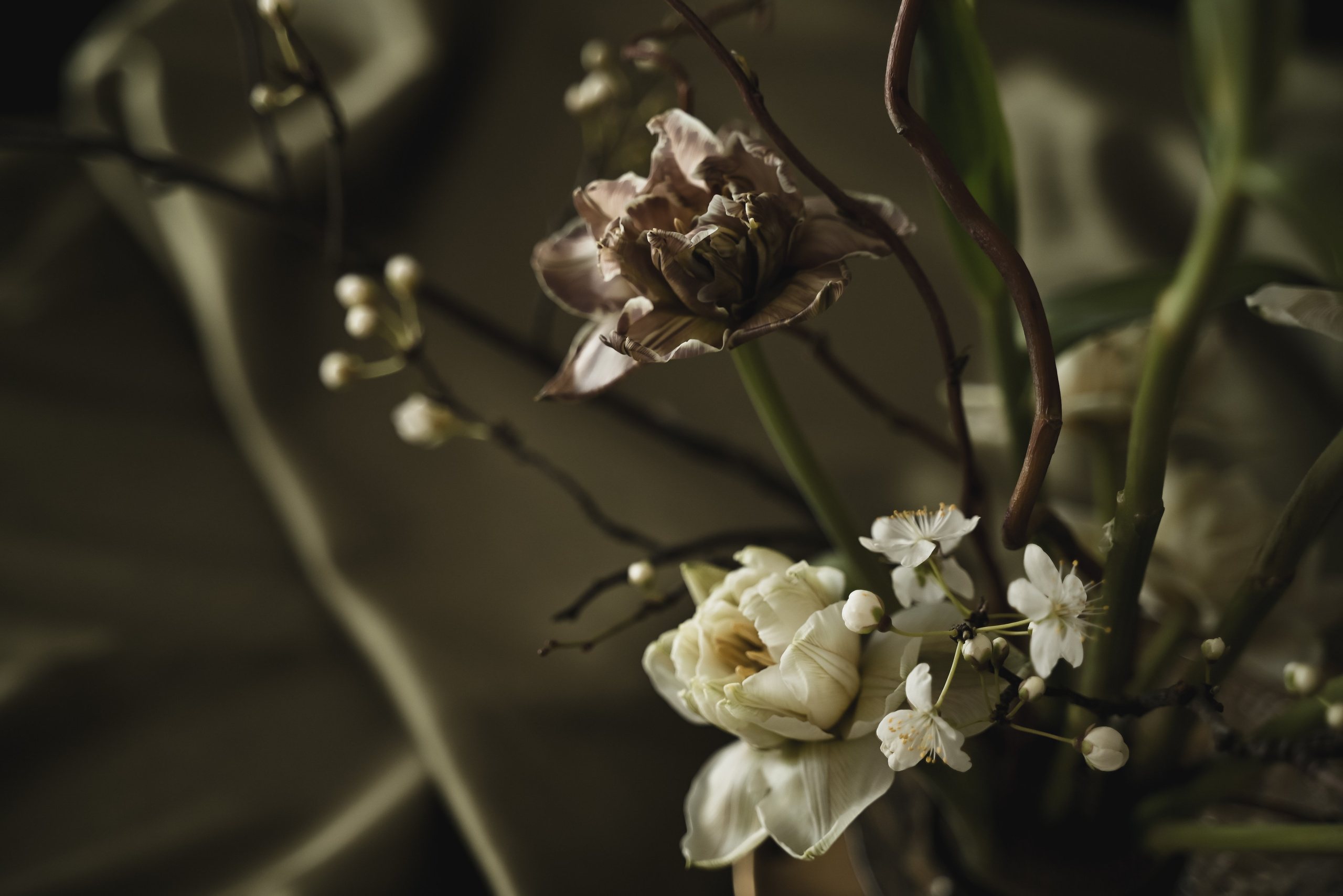 Крымский Бриз. Свадебный фотограф Анна Хочева