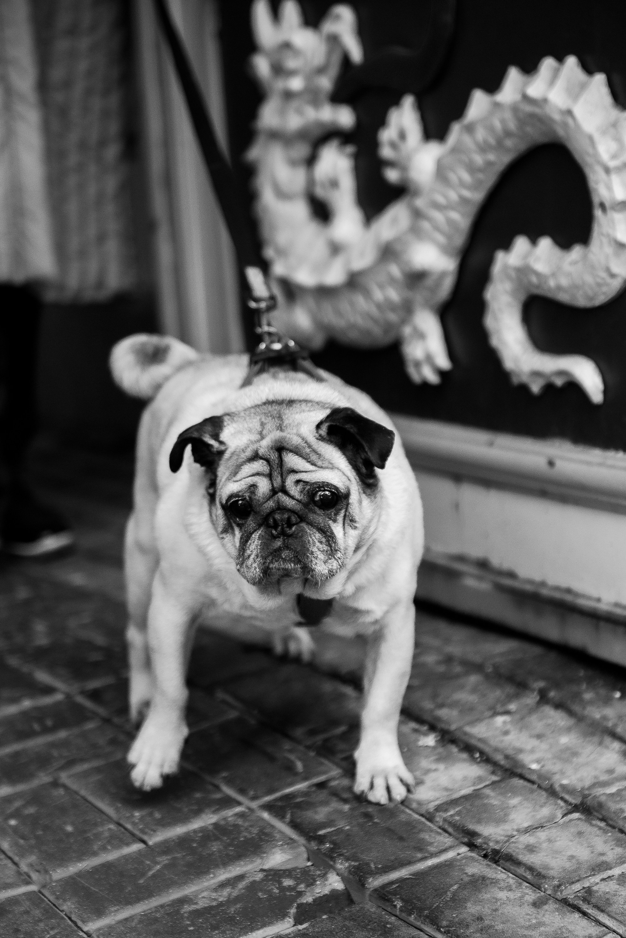 Ольга и Потапум. Прогулка к чайному дому. Семейный Фотограф в Москве Ирина Хохлова