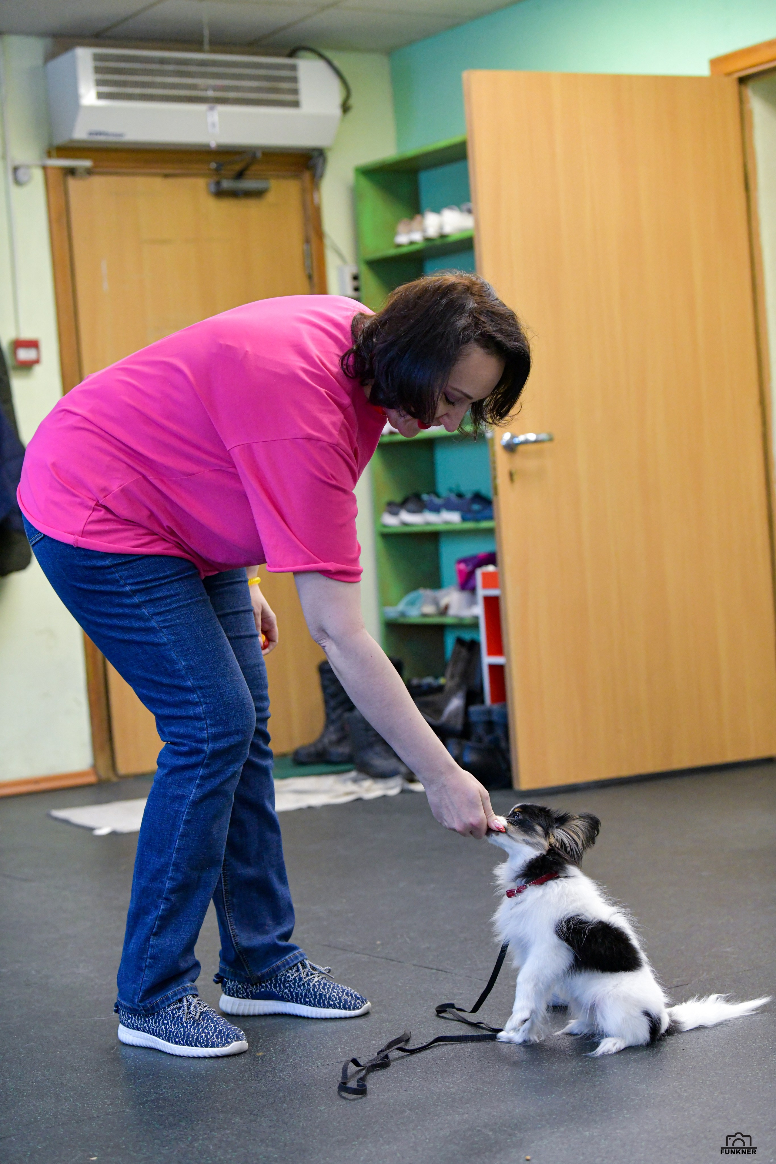 Кинологический клуб «Бодрый хвост». Свой взгляд через объектив