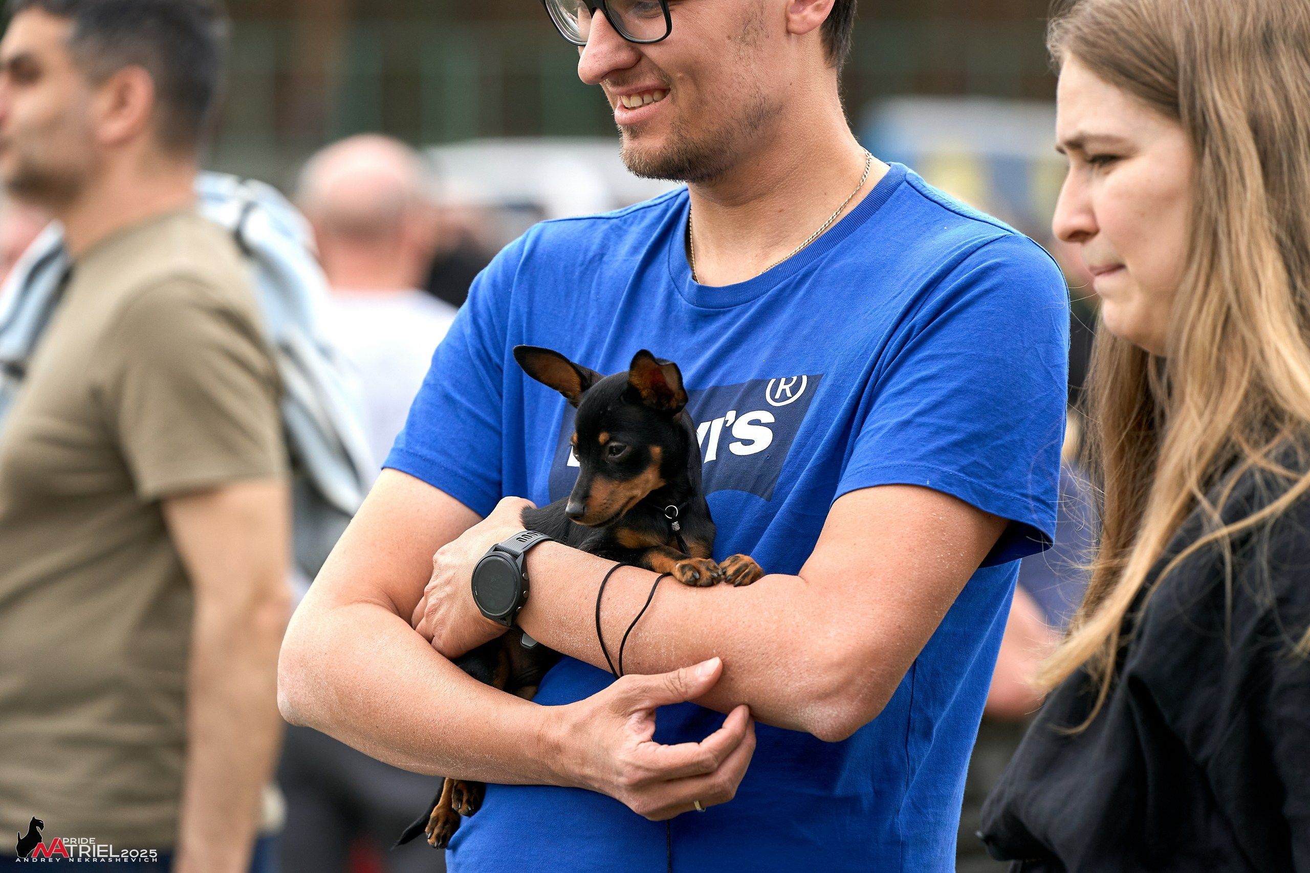 Выставка собак Суздаль-Владимир