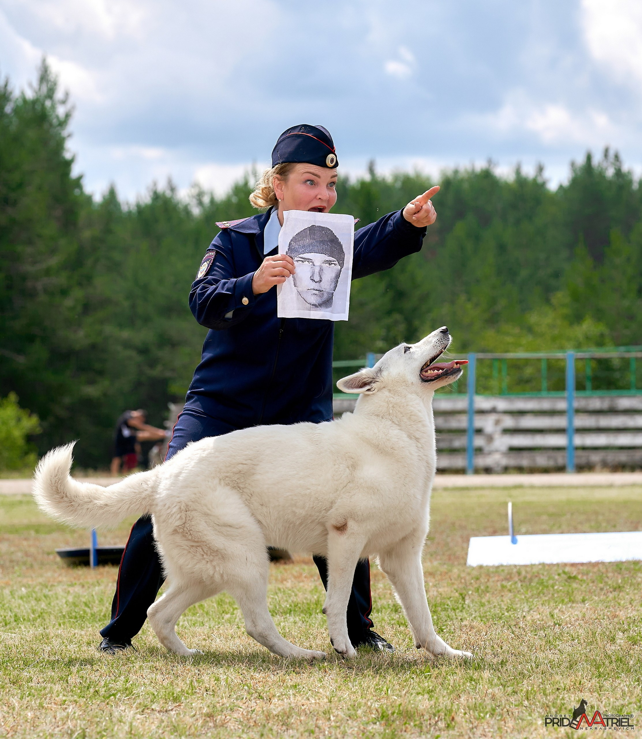 Обидиенс и танцы с собаками — галерея NATRIEL