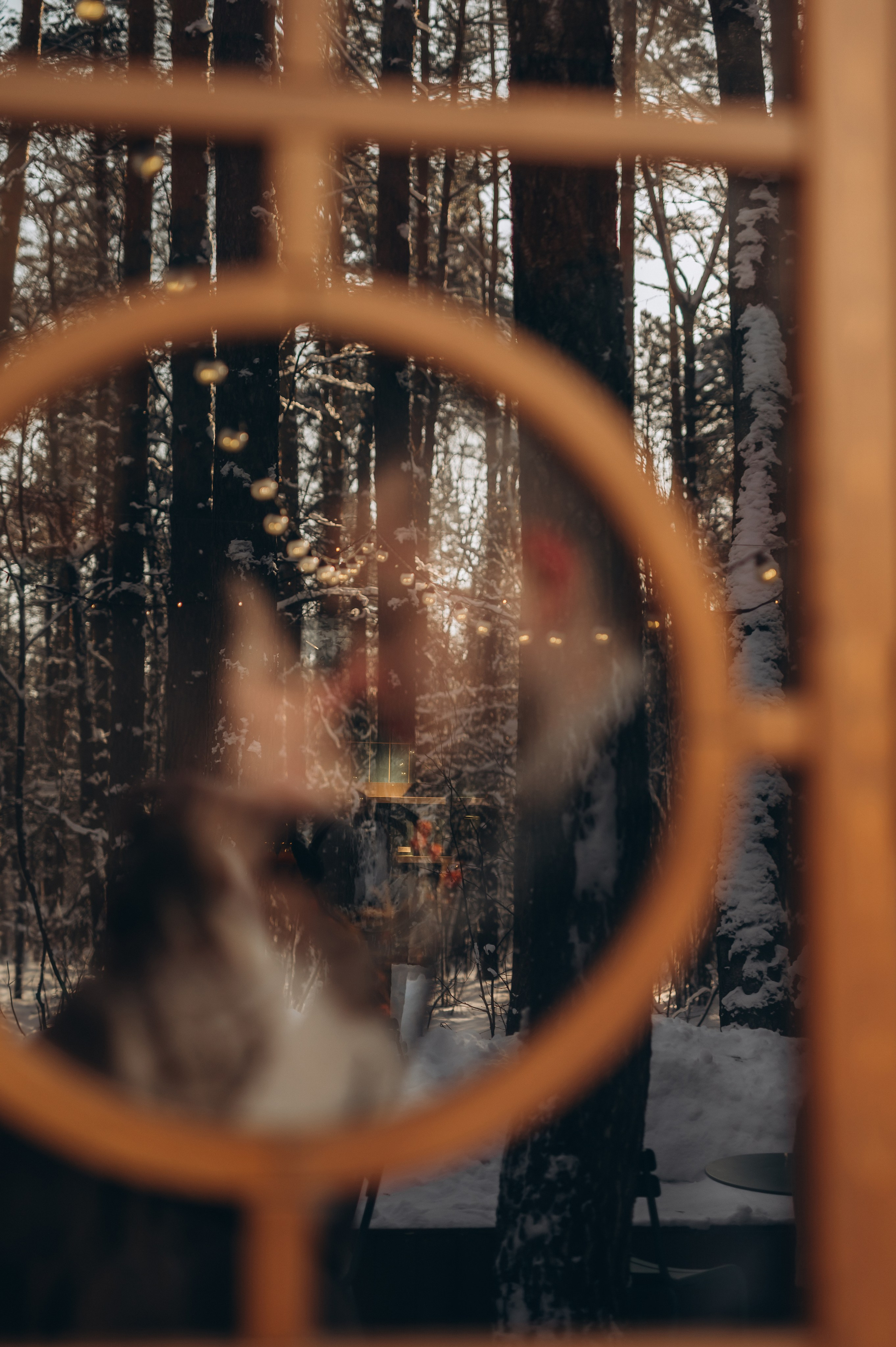 Даша и Илья. Фотограф Быстрова Дарья г. Москва