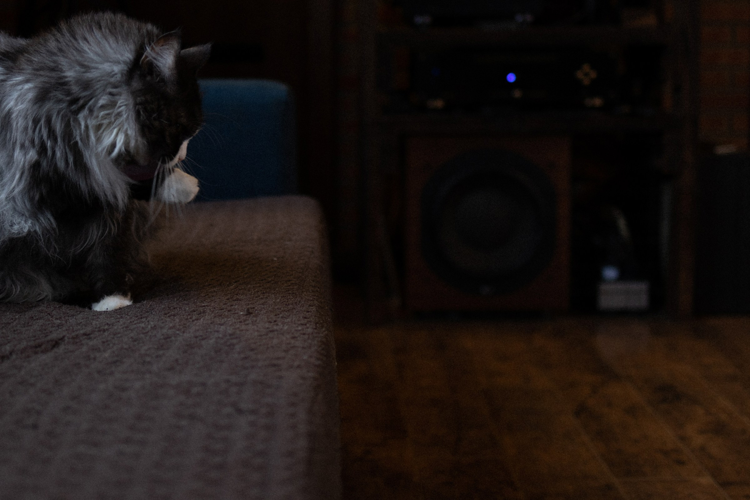 Франкенвини. Фотограф Daria Wilner