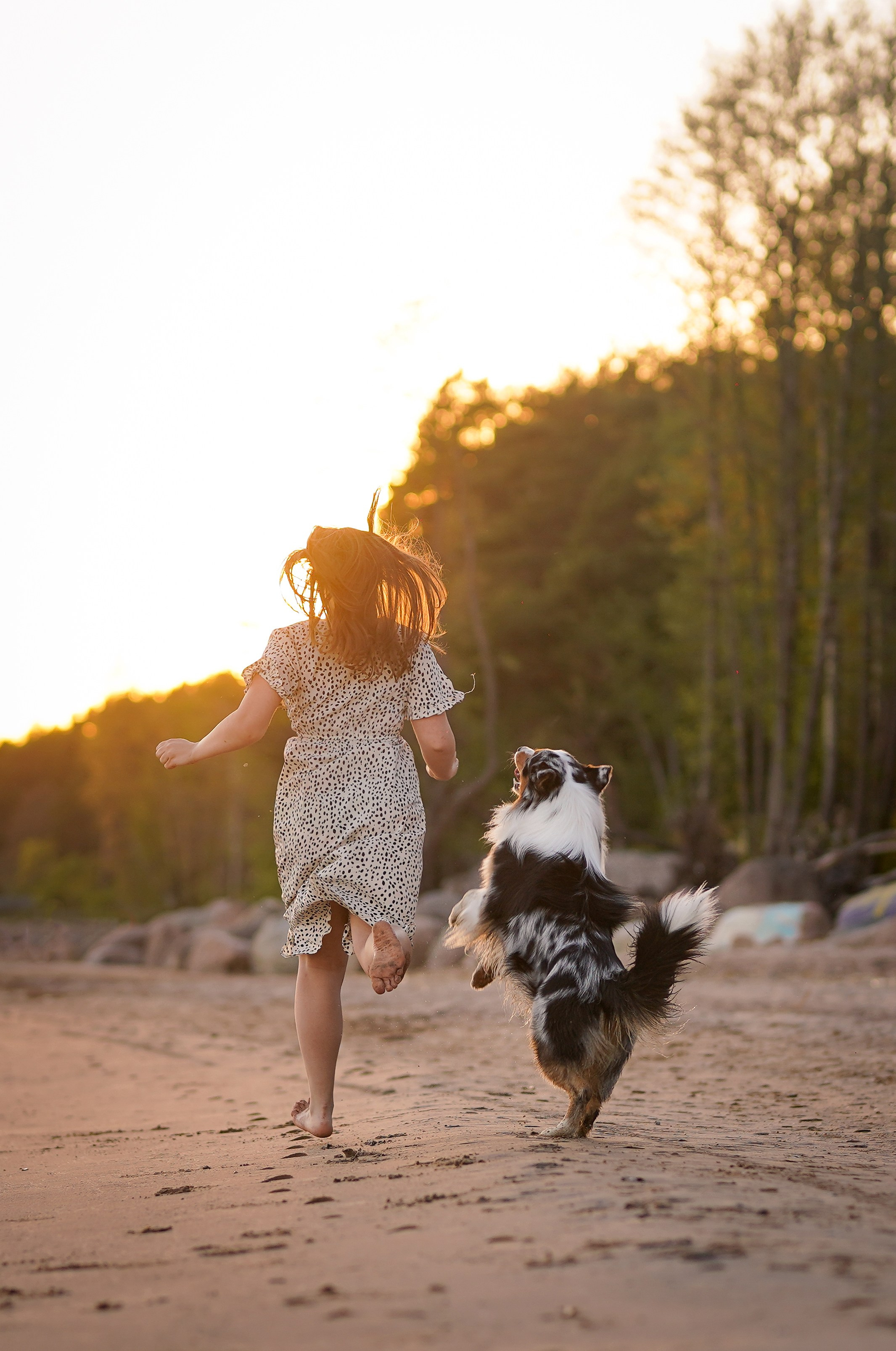 Вероника Харви и Лени. Фотограф-анималист в Санкт-Петербурге Яна Мартынова